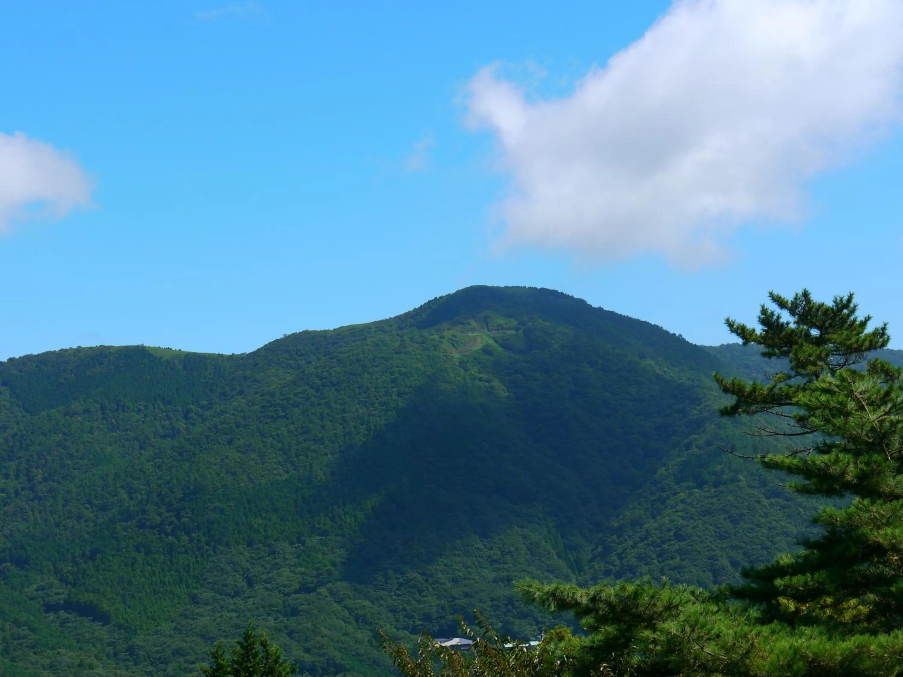 Natural landscape in Hotel Marroad Hakone
