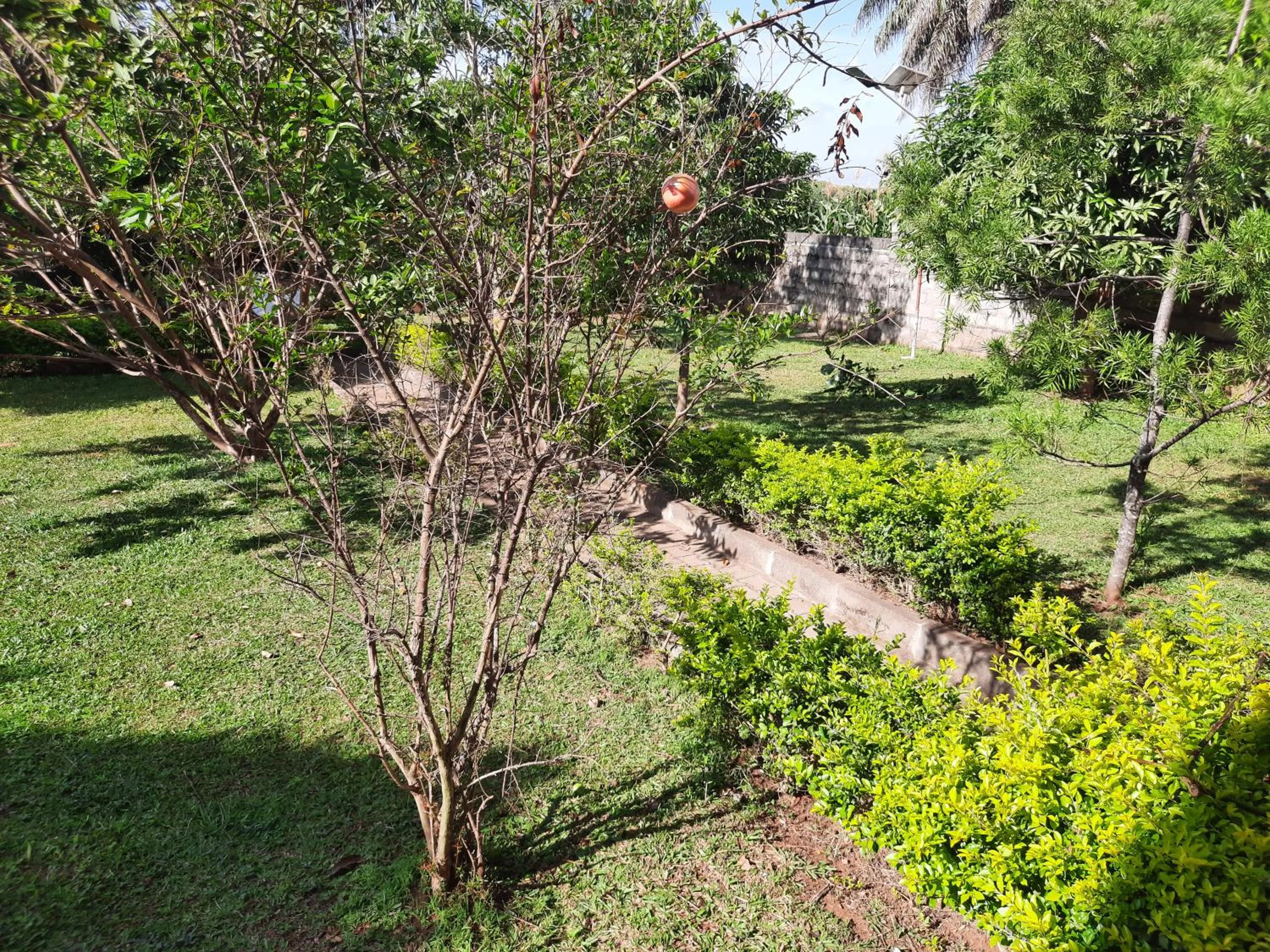 Garden in Airport Side Hotel Entebbe