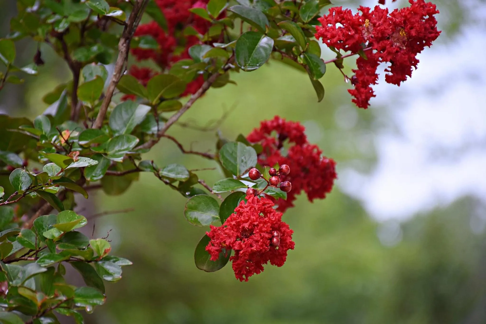 Property building in Coulter Farmstead