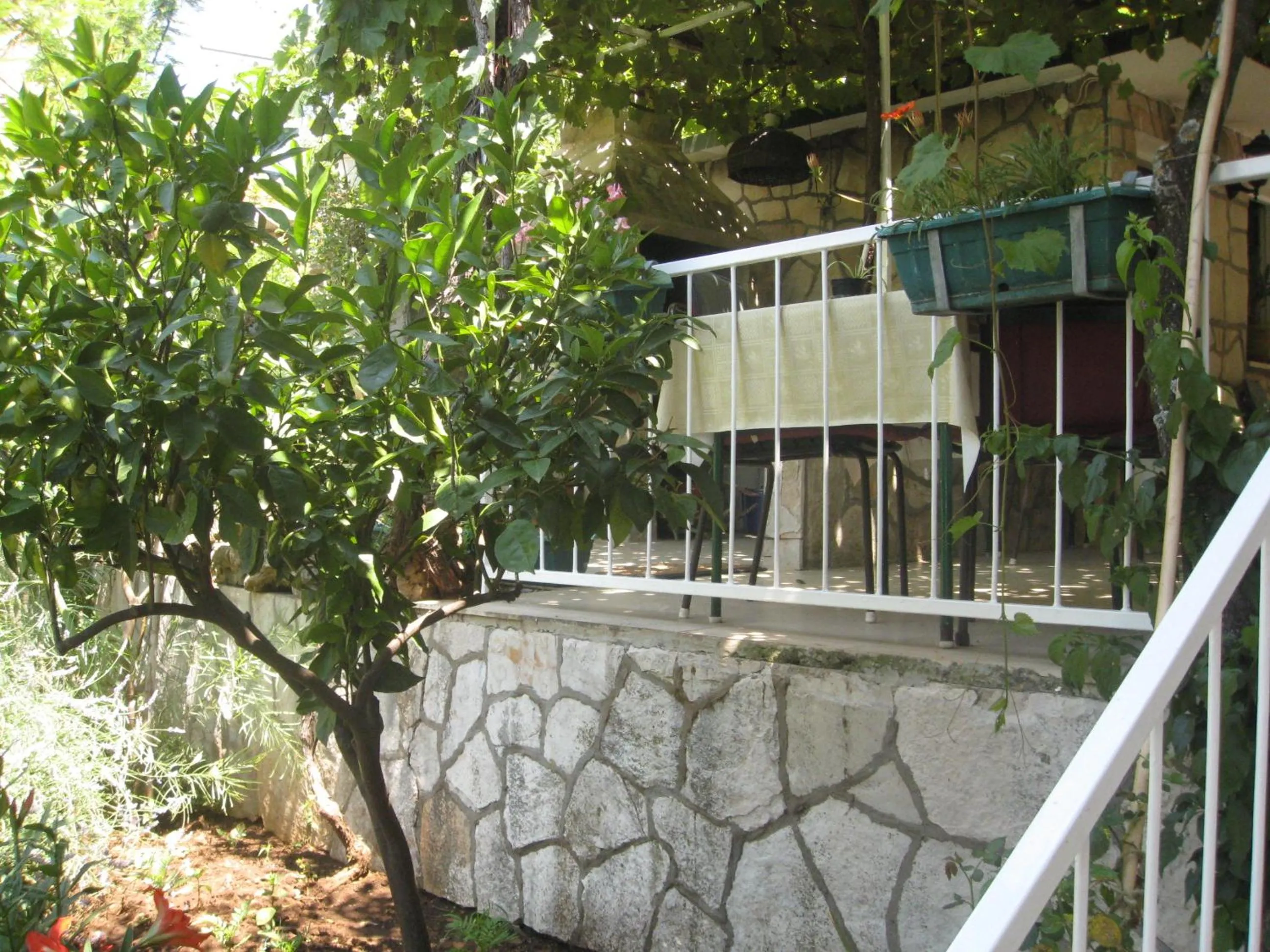 Villa Volga