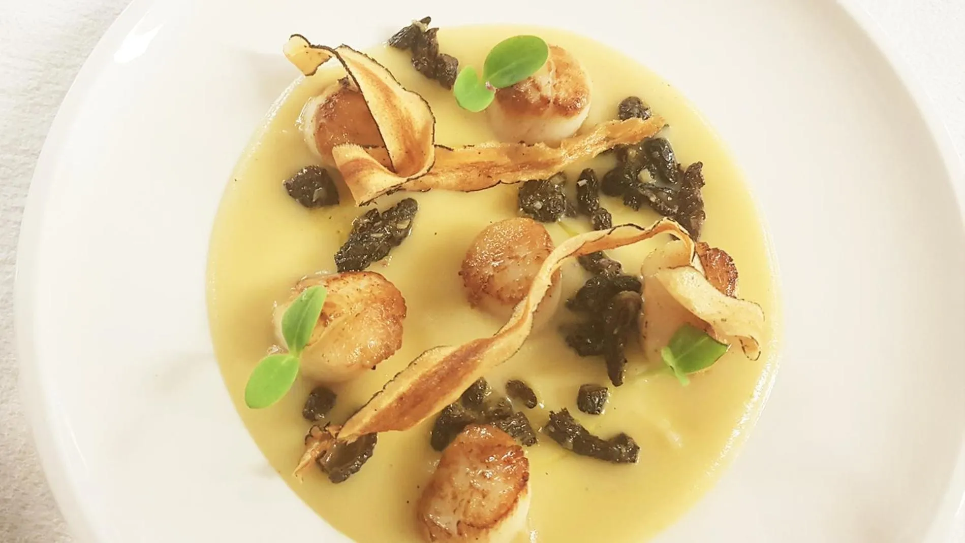 Restaurant/places to eat in Logis Hôtel & Restaurant du Sauvage