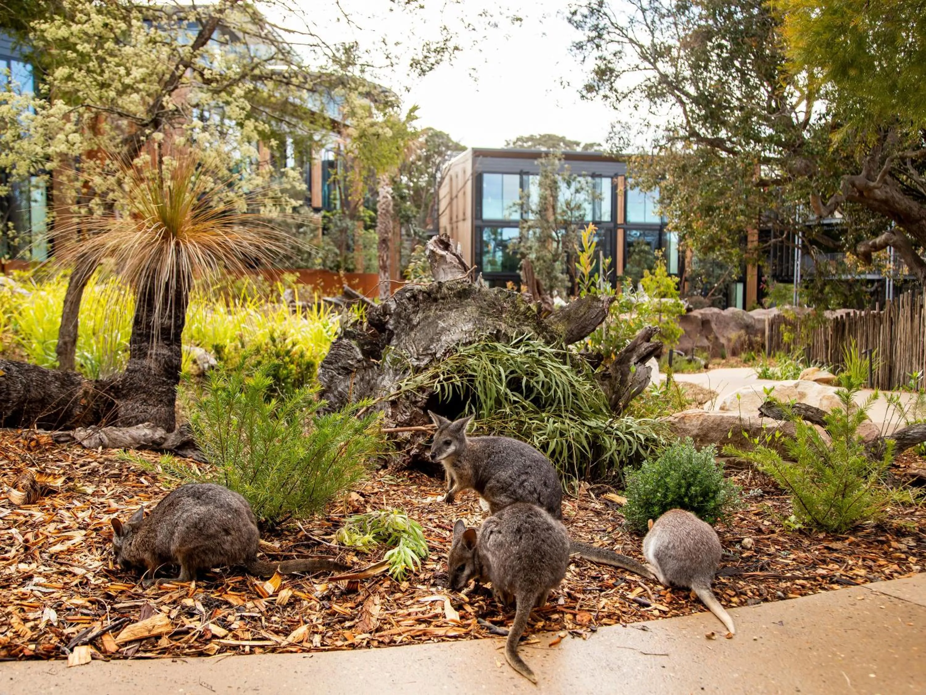 Activities in Wildlife Retreat at Taronga