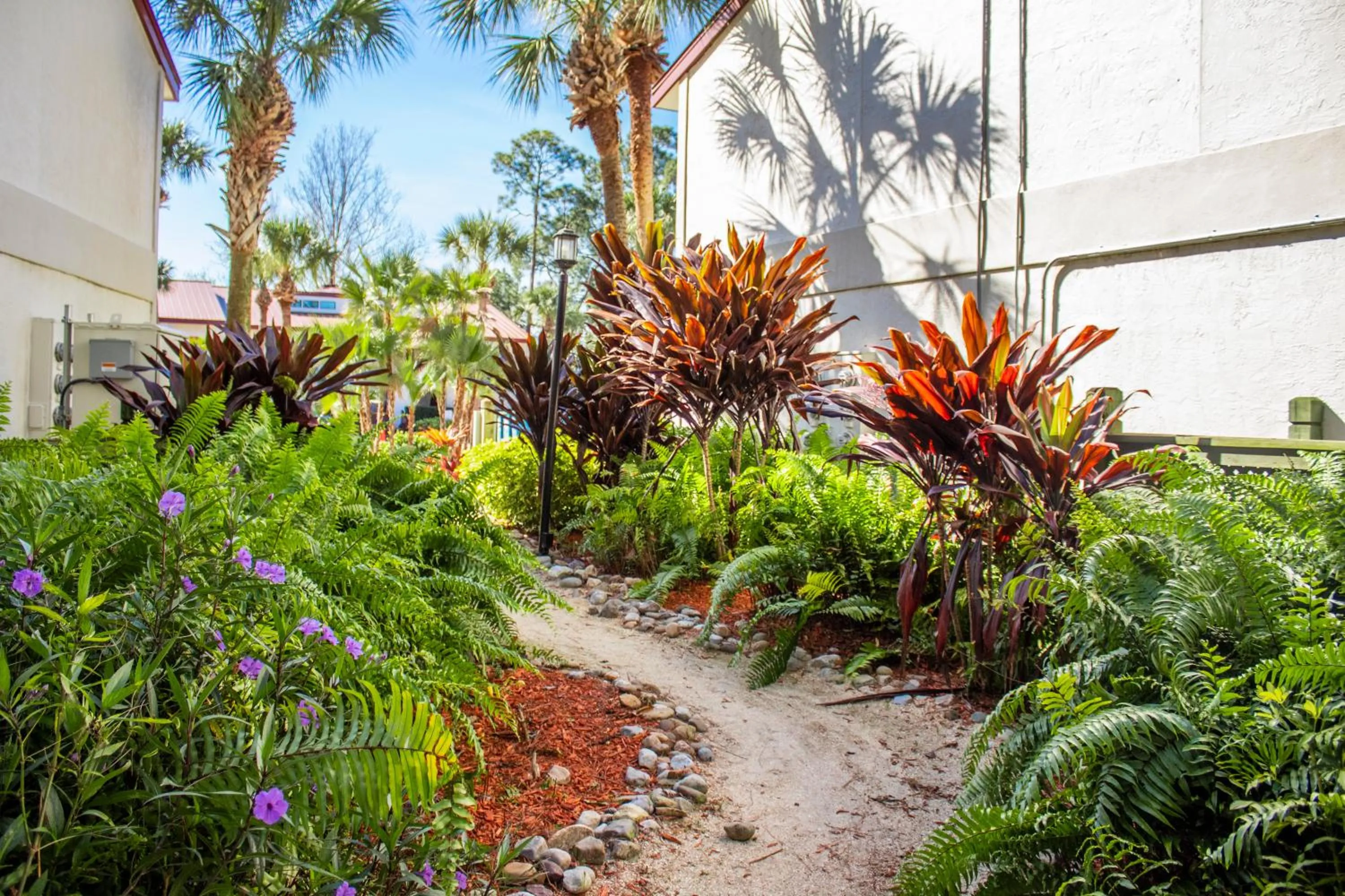 Garden in Bryan's Spanish Cove