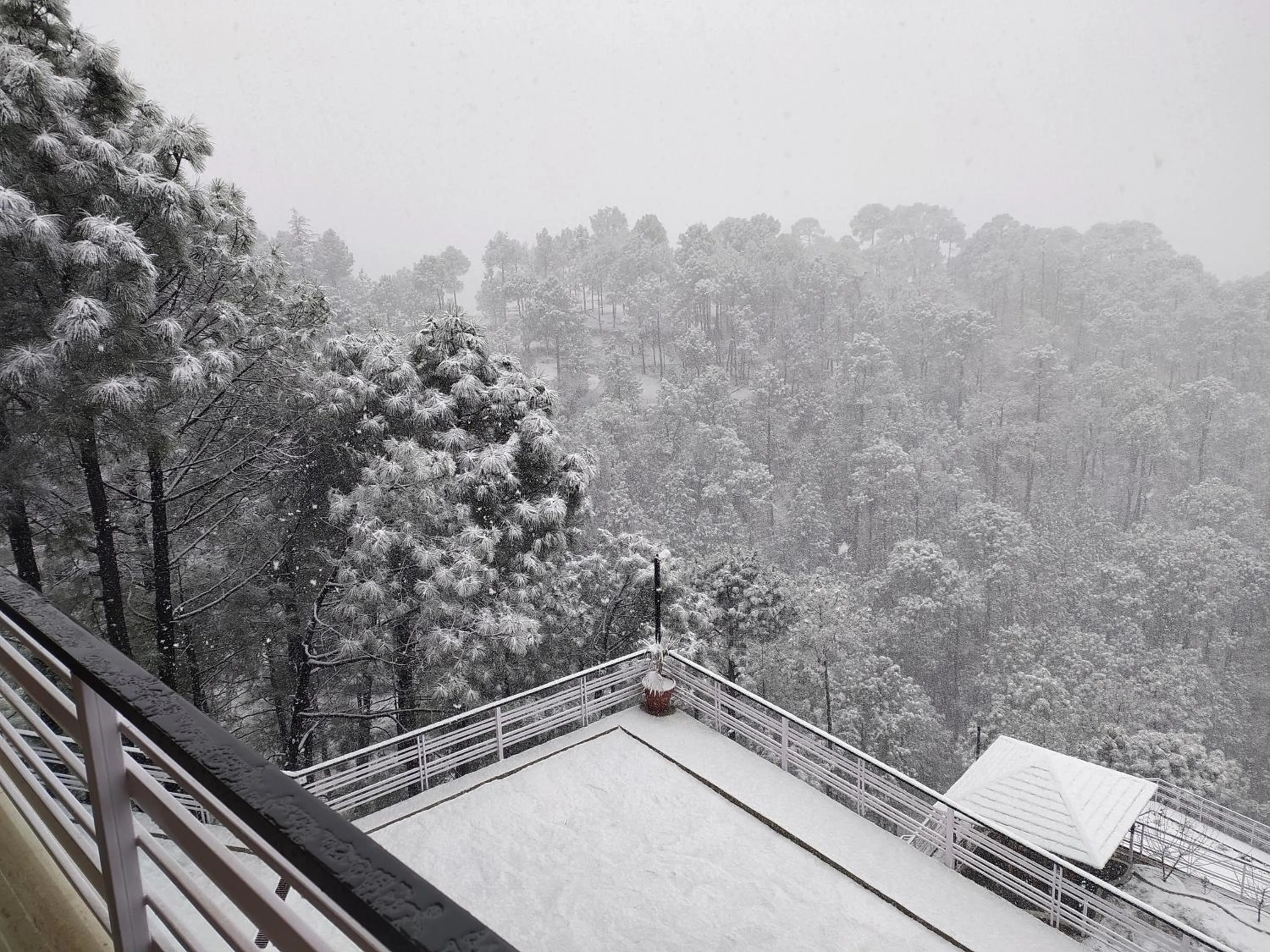 Balcony/Terrace in Kanishka Retreat Resort Chail