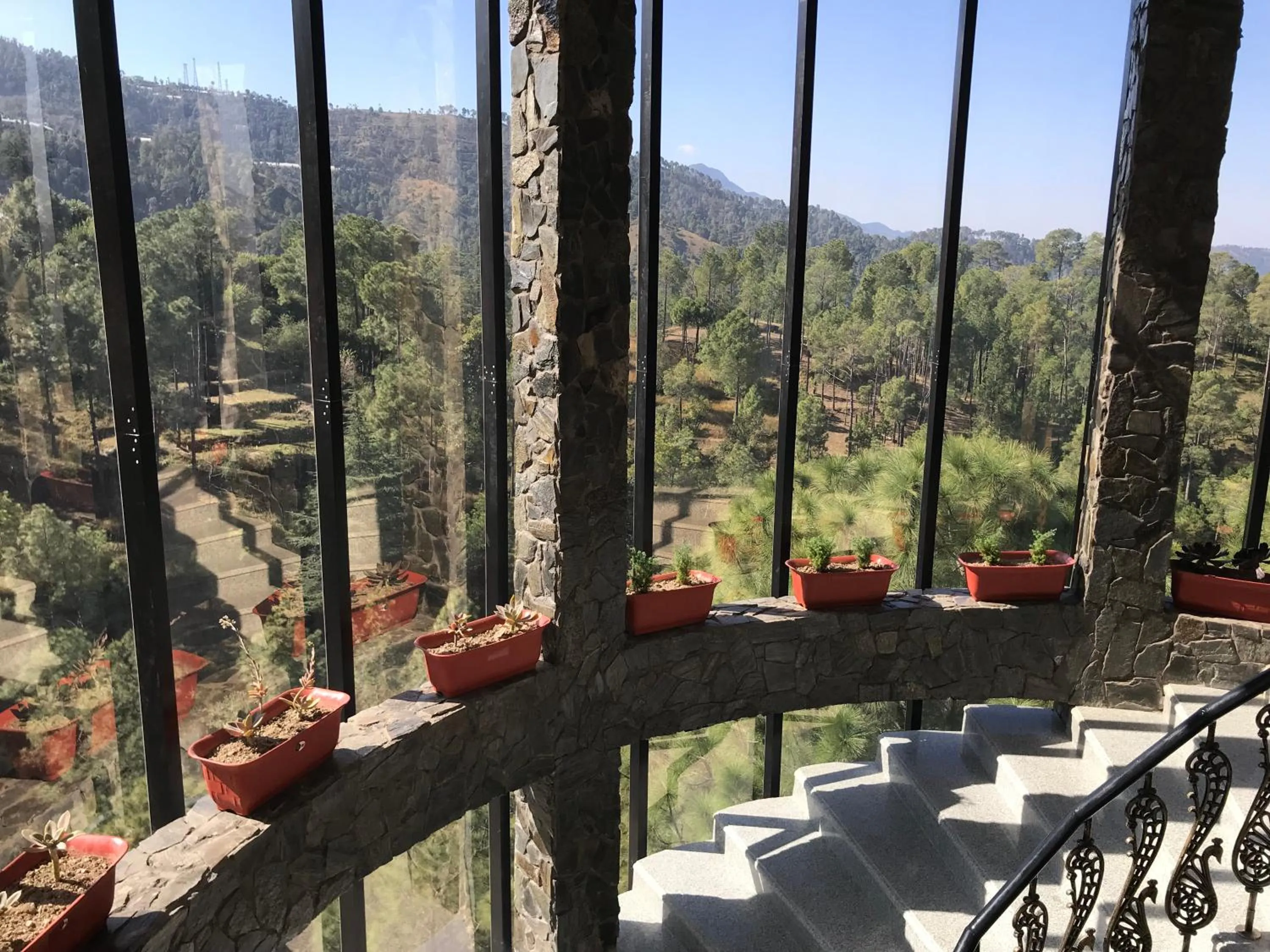 Mountain view in Kanishka Retreat Resort Chail