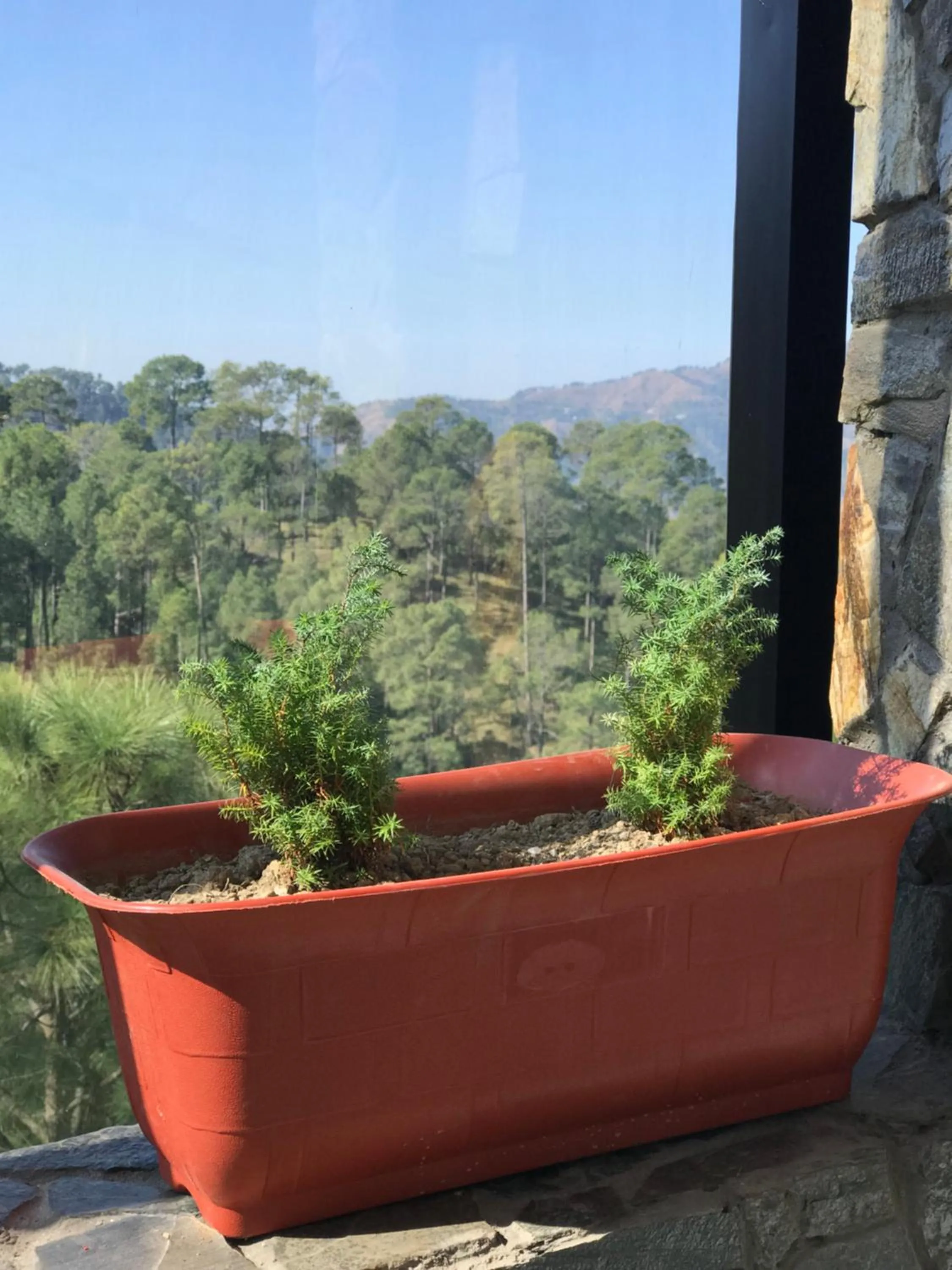 Mountain view in Kanishka Retreat Resort Chail