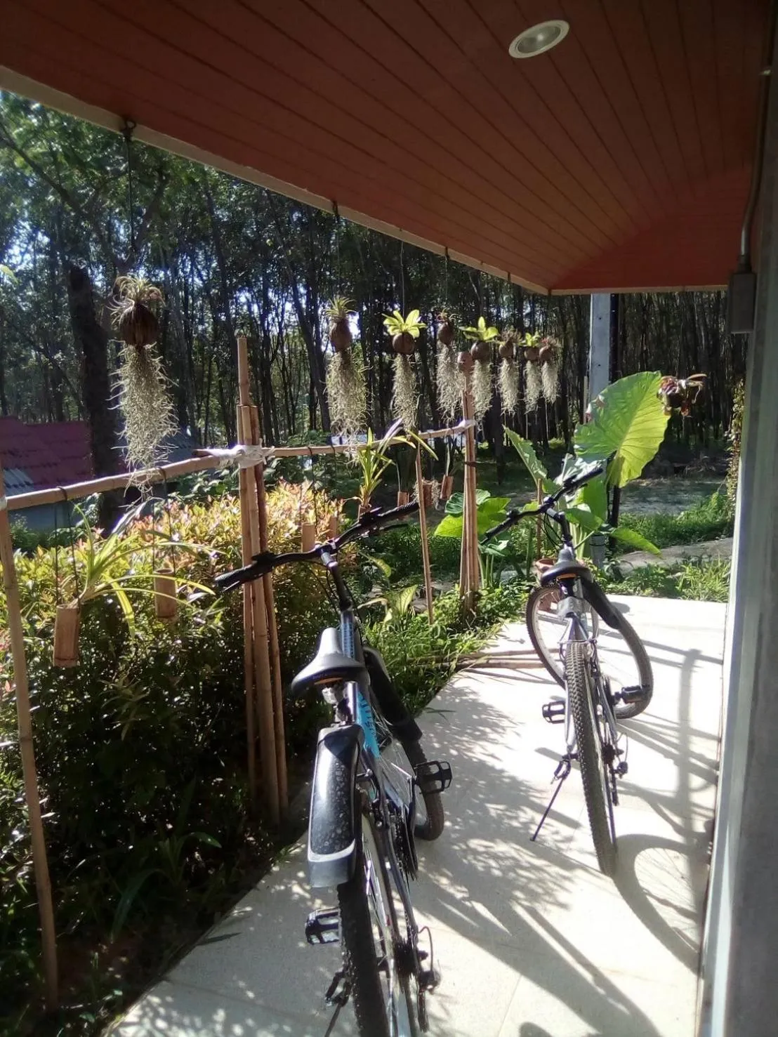 Cycling in Rinna Resort