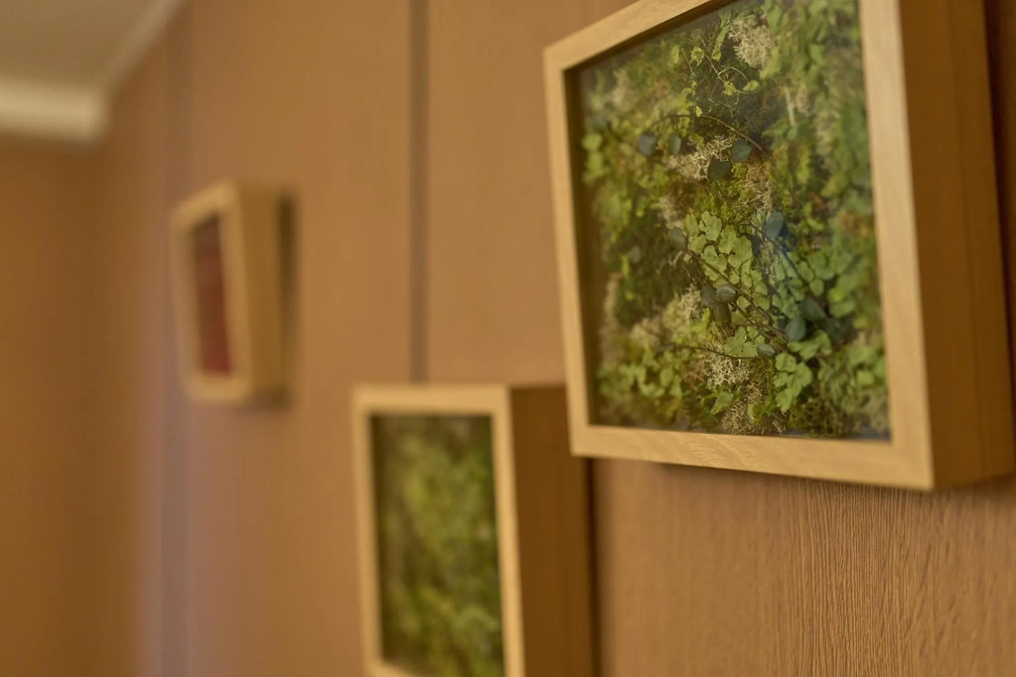 Living room in MATERIAL Fuchomae