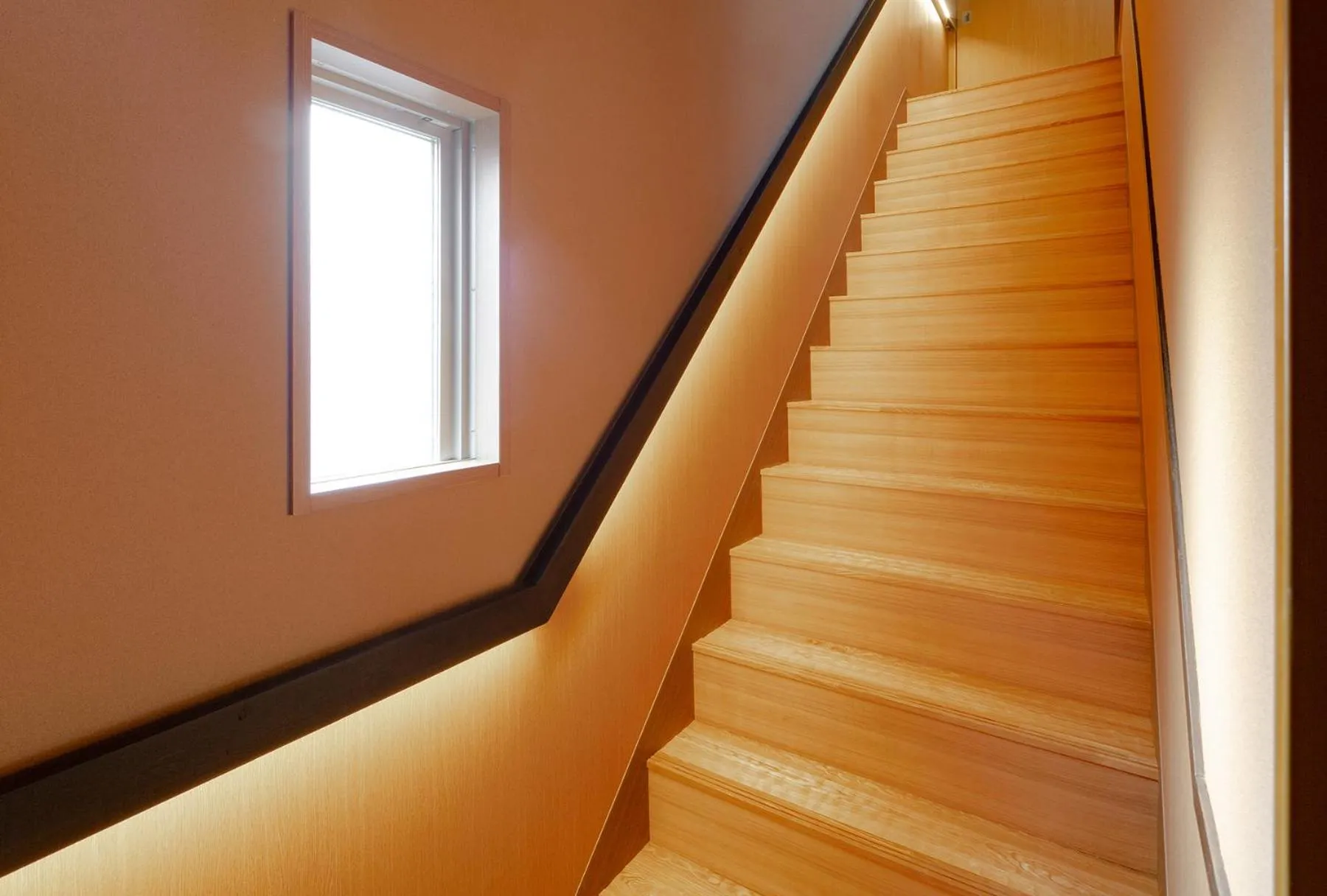 Other in MATERIAL Fuchomae