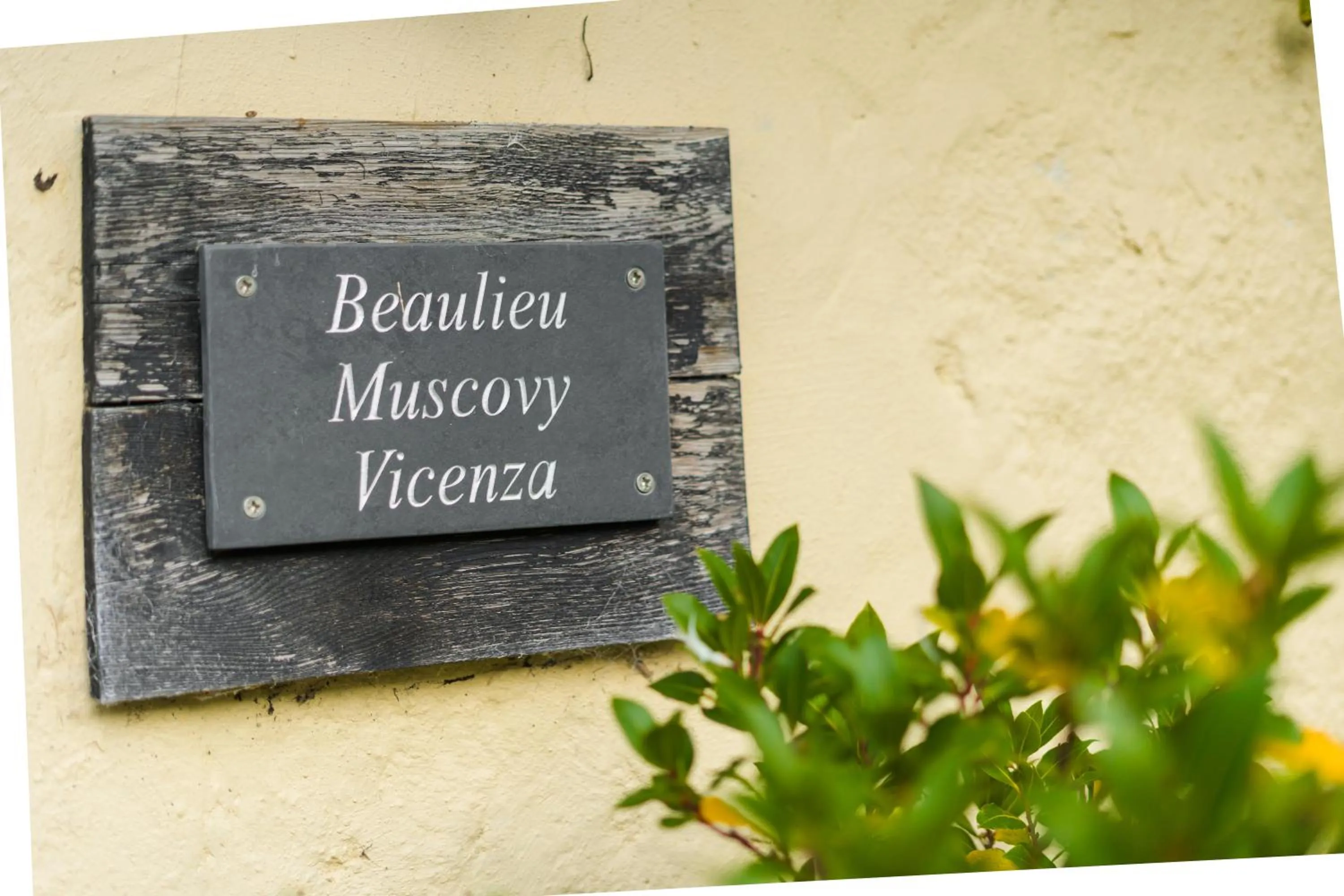 Decorative detail in Hollamoor Farm