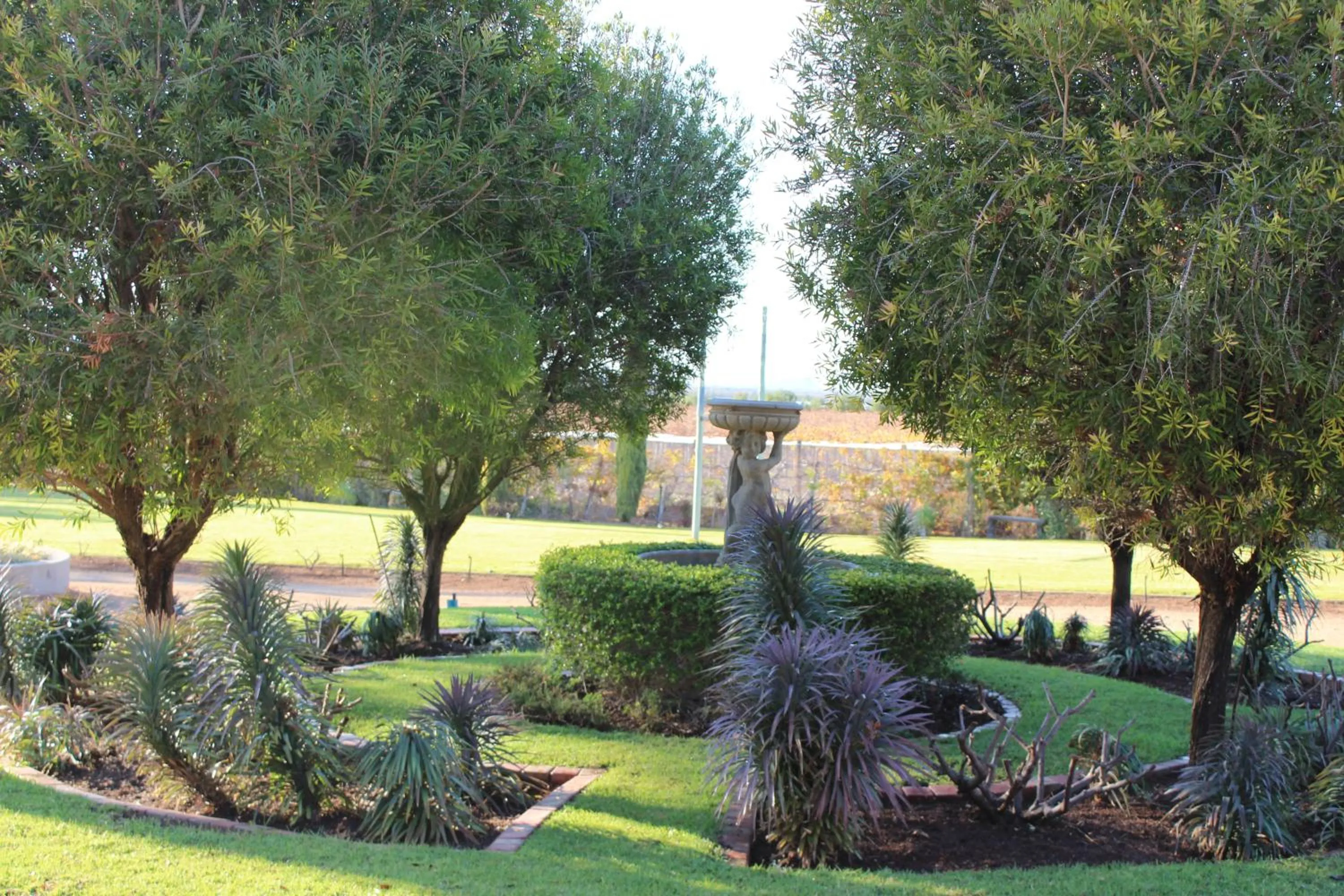Garden in The Falls Guest House
