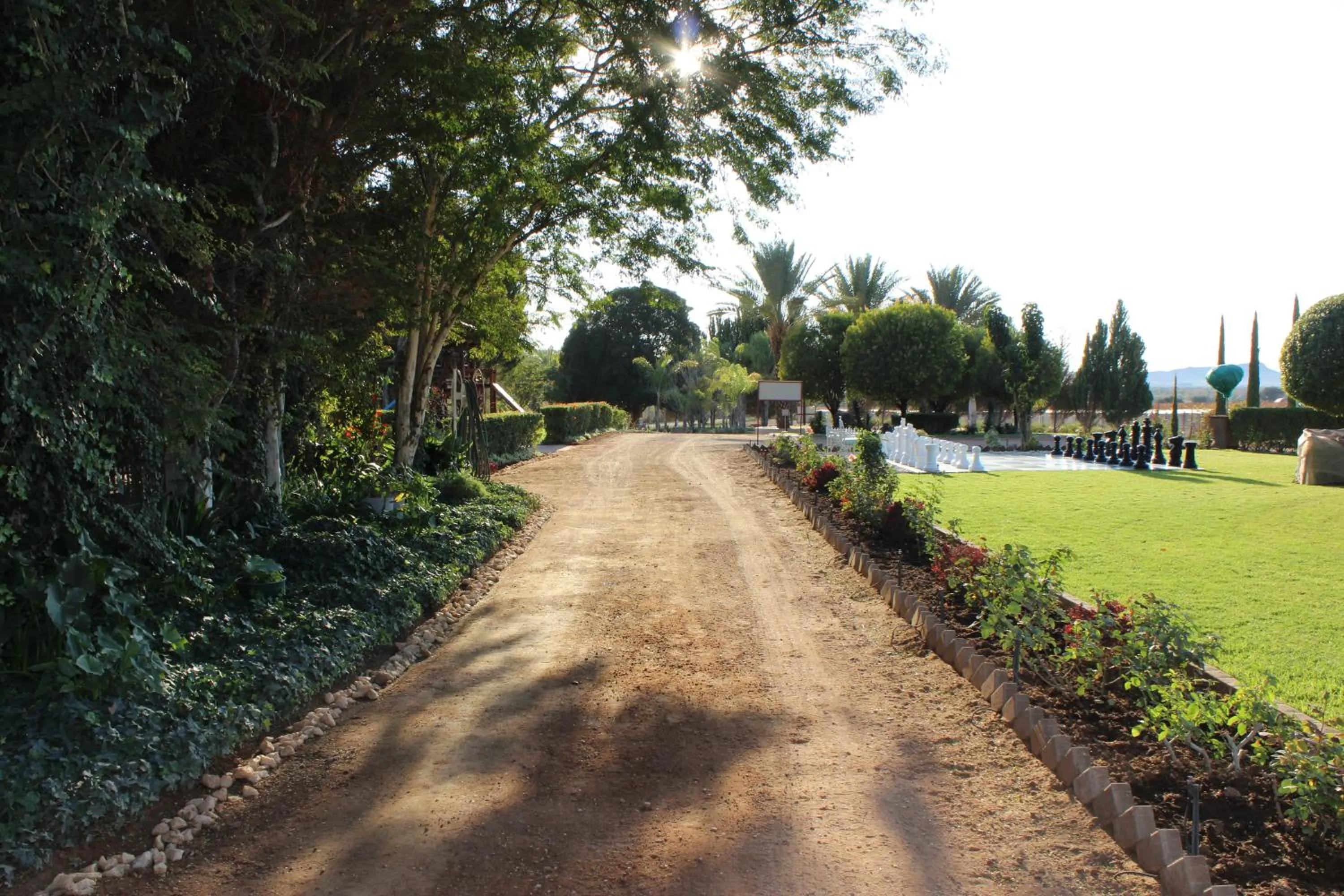 Garden in The Falls Guest House