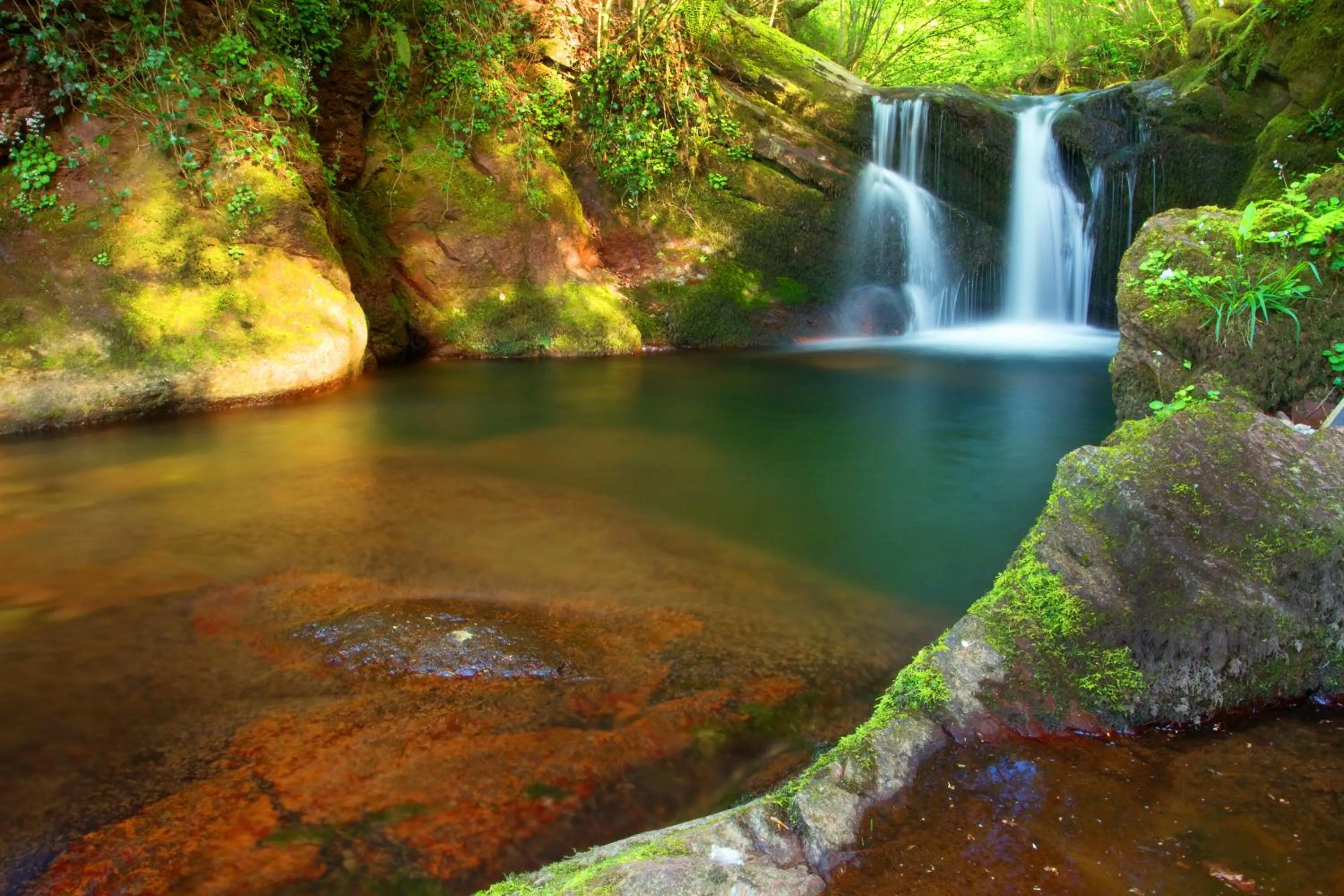 Nearby landmark in Hotel Elizondo