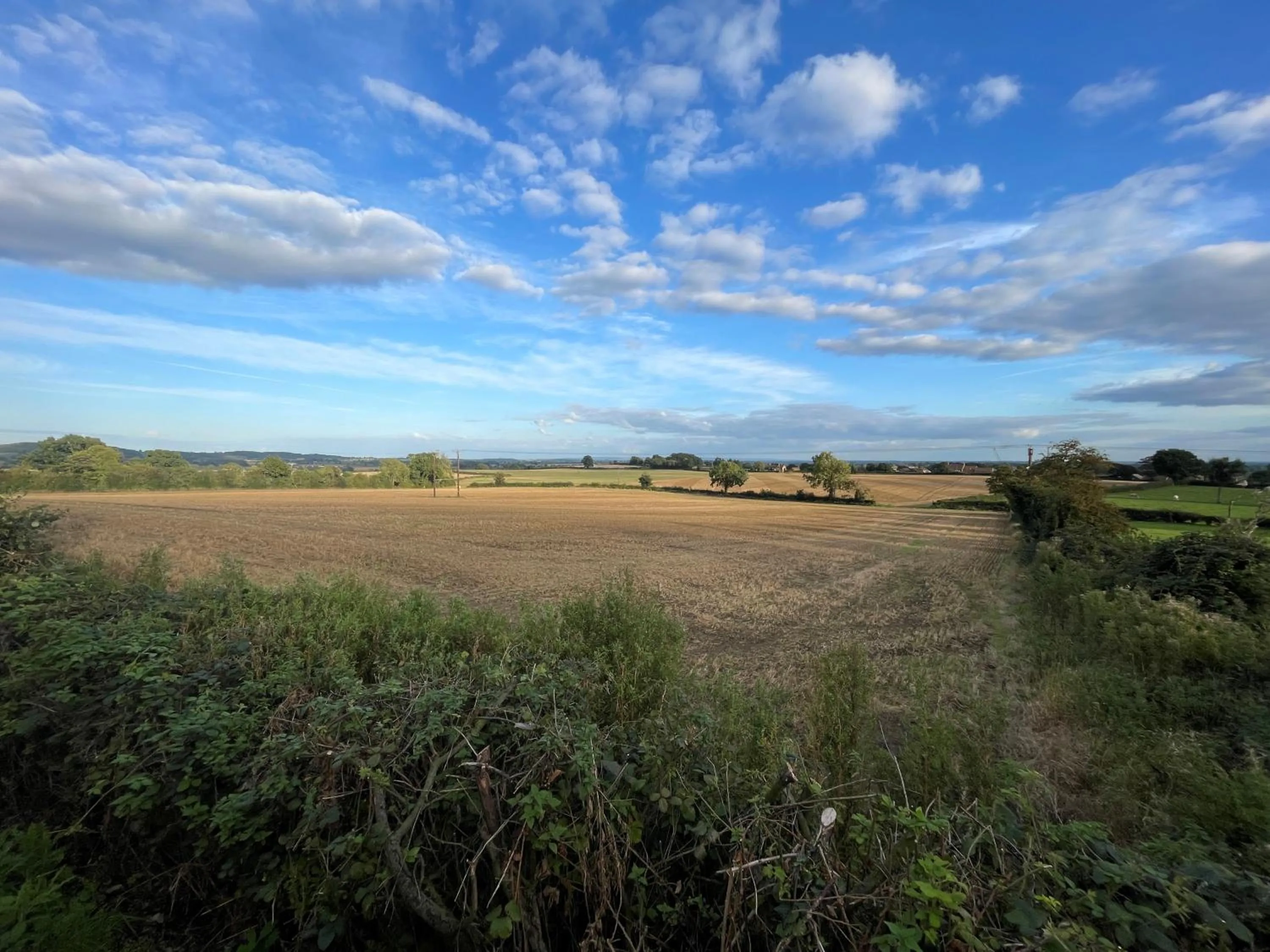 View (from property/room) in The Durham Ox