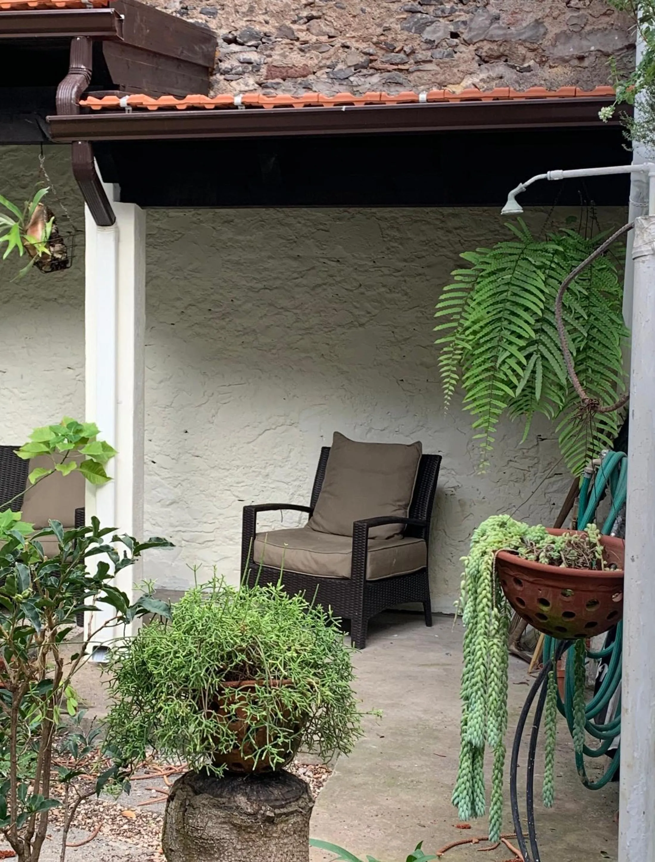 Garden in Vitorina Corte Guesthouse