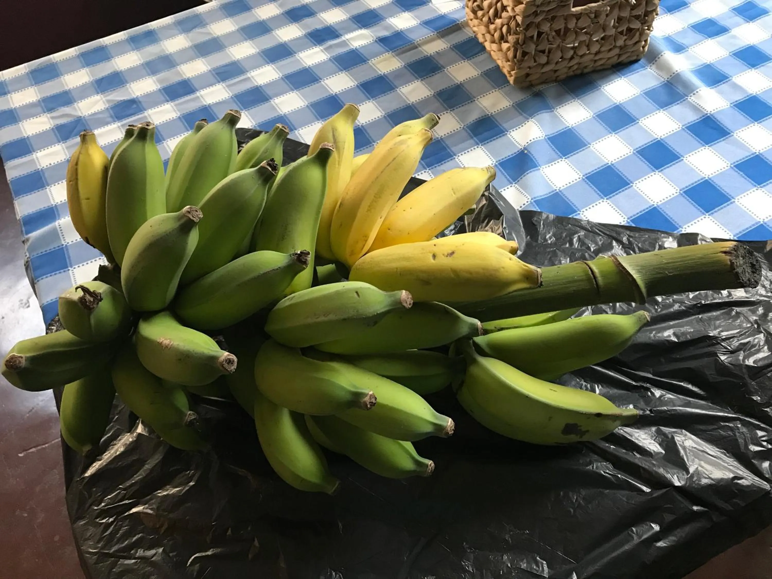 Garden in Vitorina Corte Guesthouse