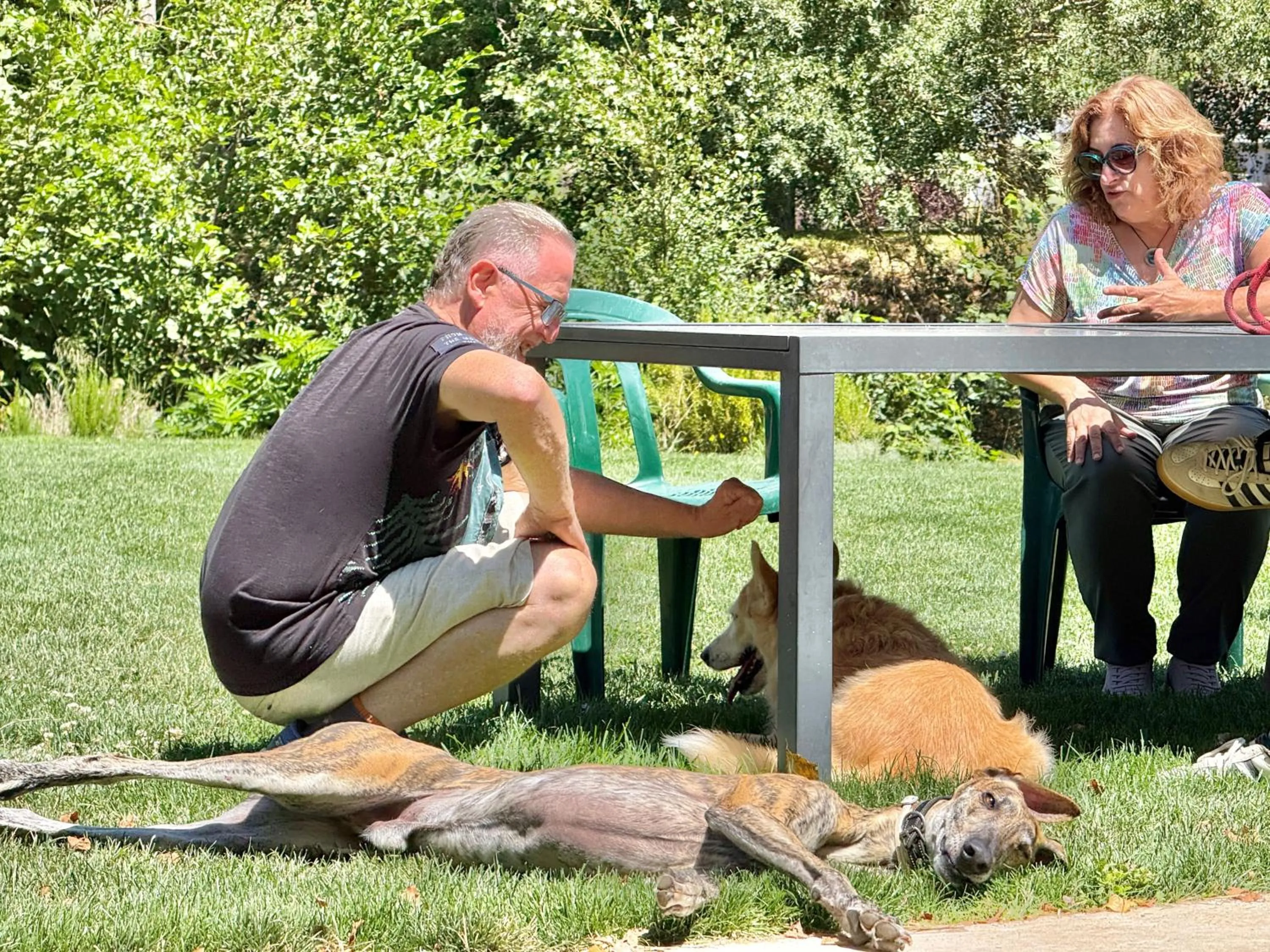 pet friendly in Hotel Rural Villa Liquidámbar