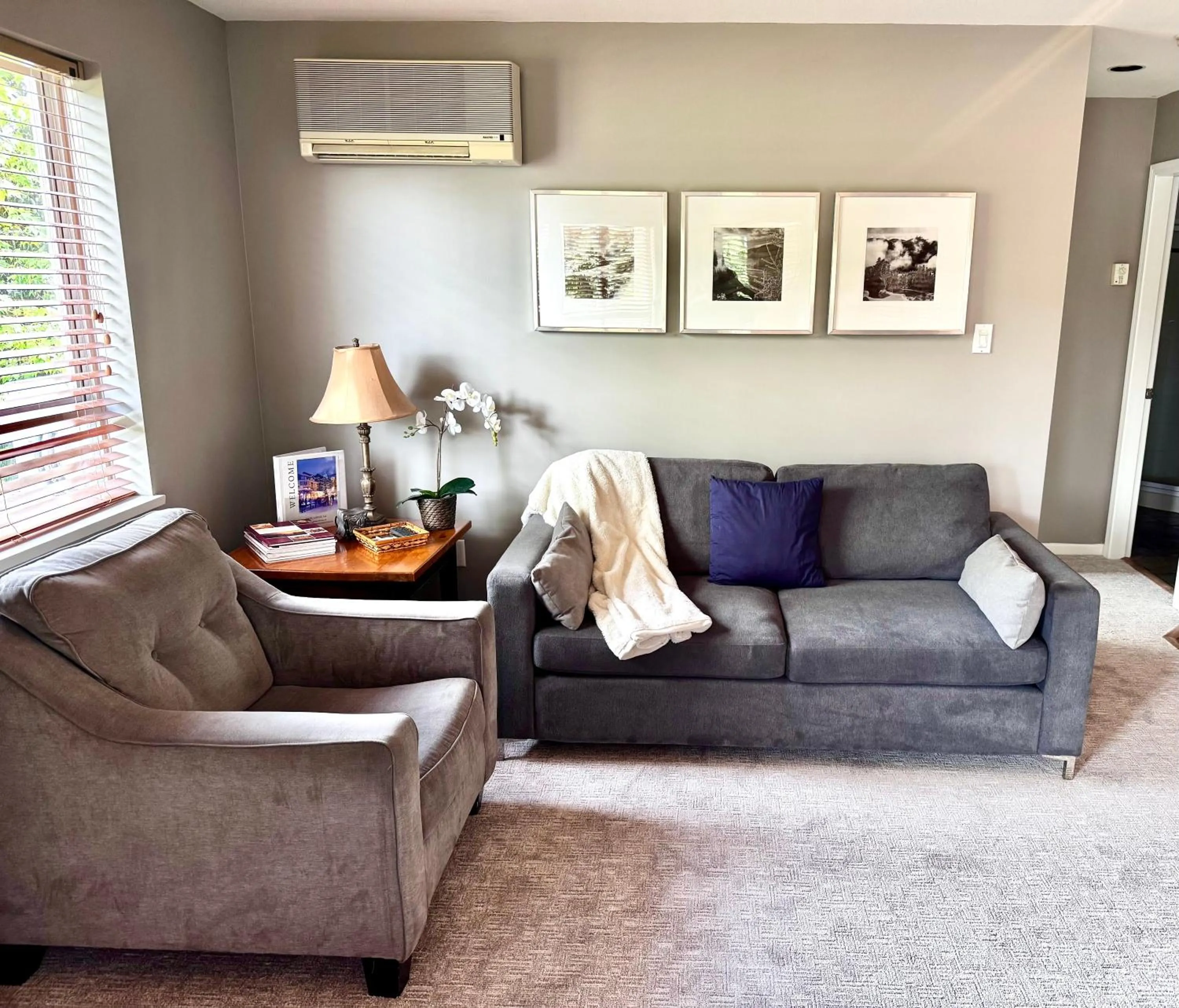 Whistler Blackcomb Vacation Rentals - Village North