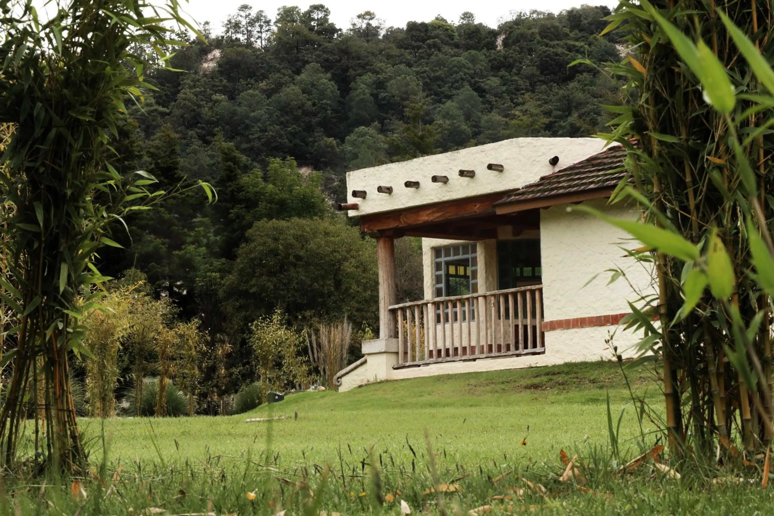 Day in Hotel Bosques del Sol Suites