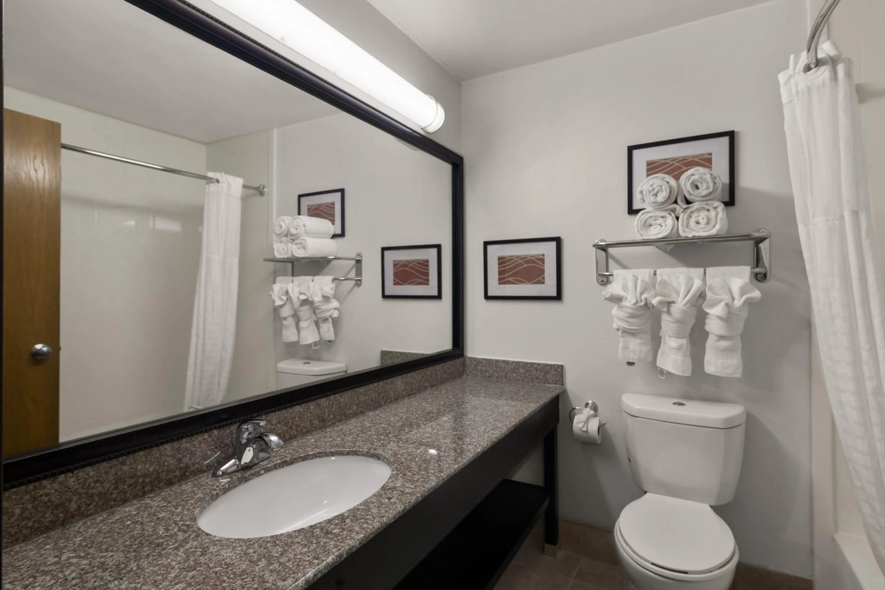 Bathroom in Comfort Inn & Suites Austin North Loop