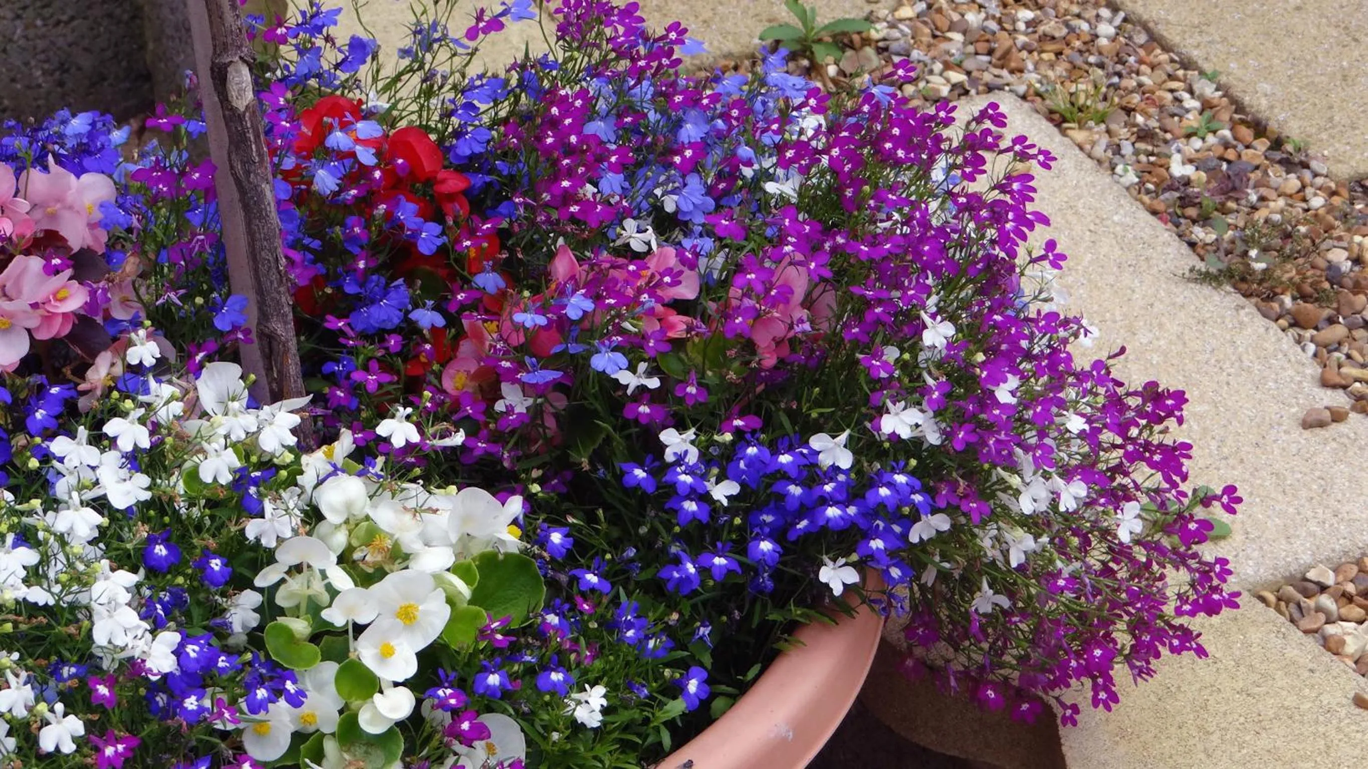 Day in Jessamine House Hotel