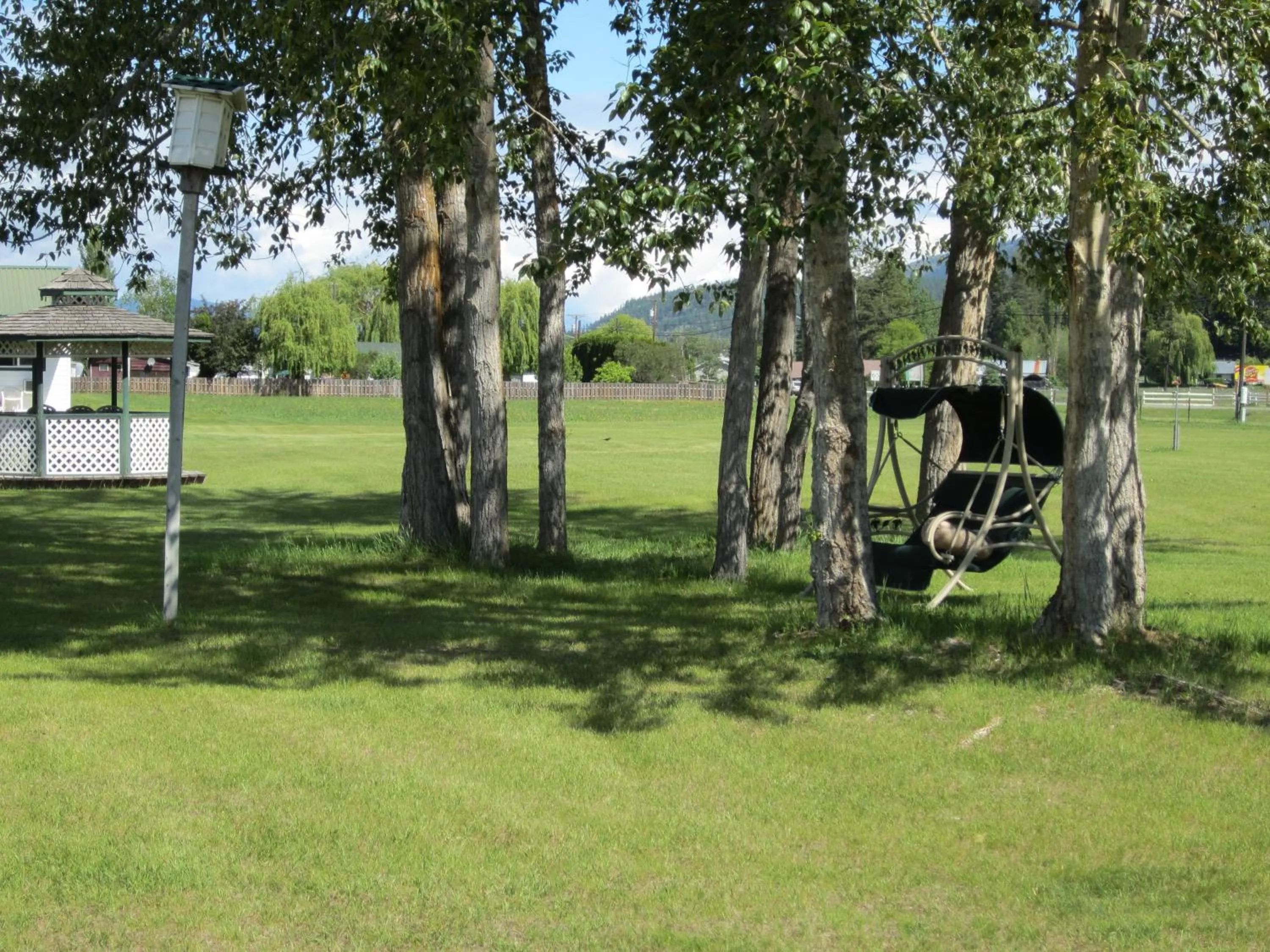 Area and facilities in Mountain Springs Motel & RV Park