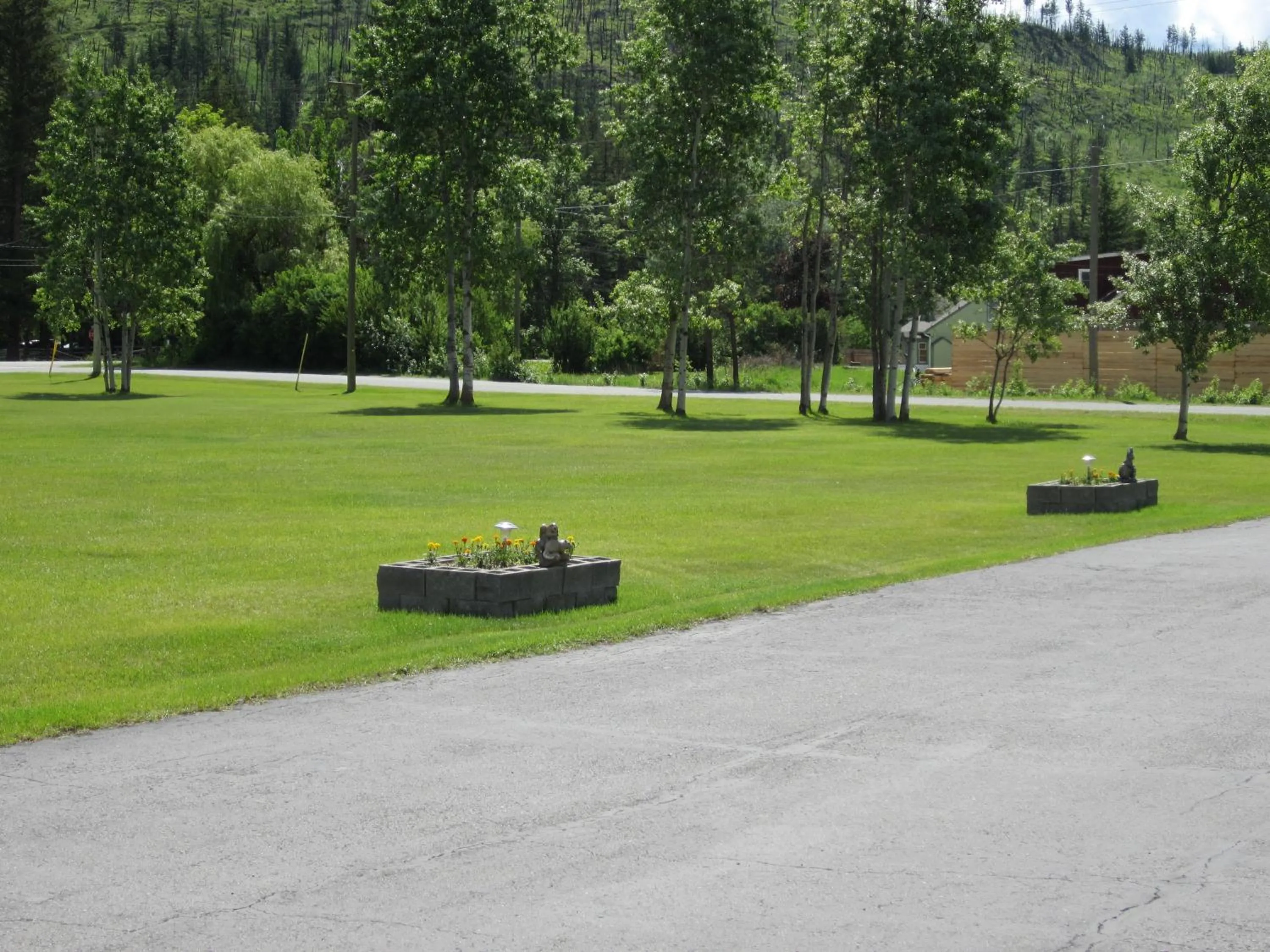 Neighbourhood in Mountain Springs Motel & RV Park