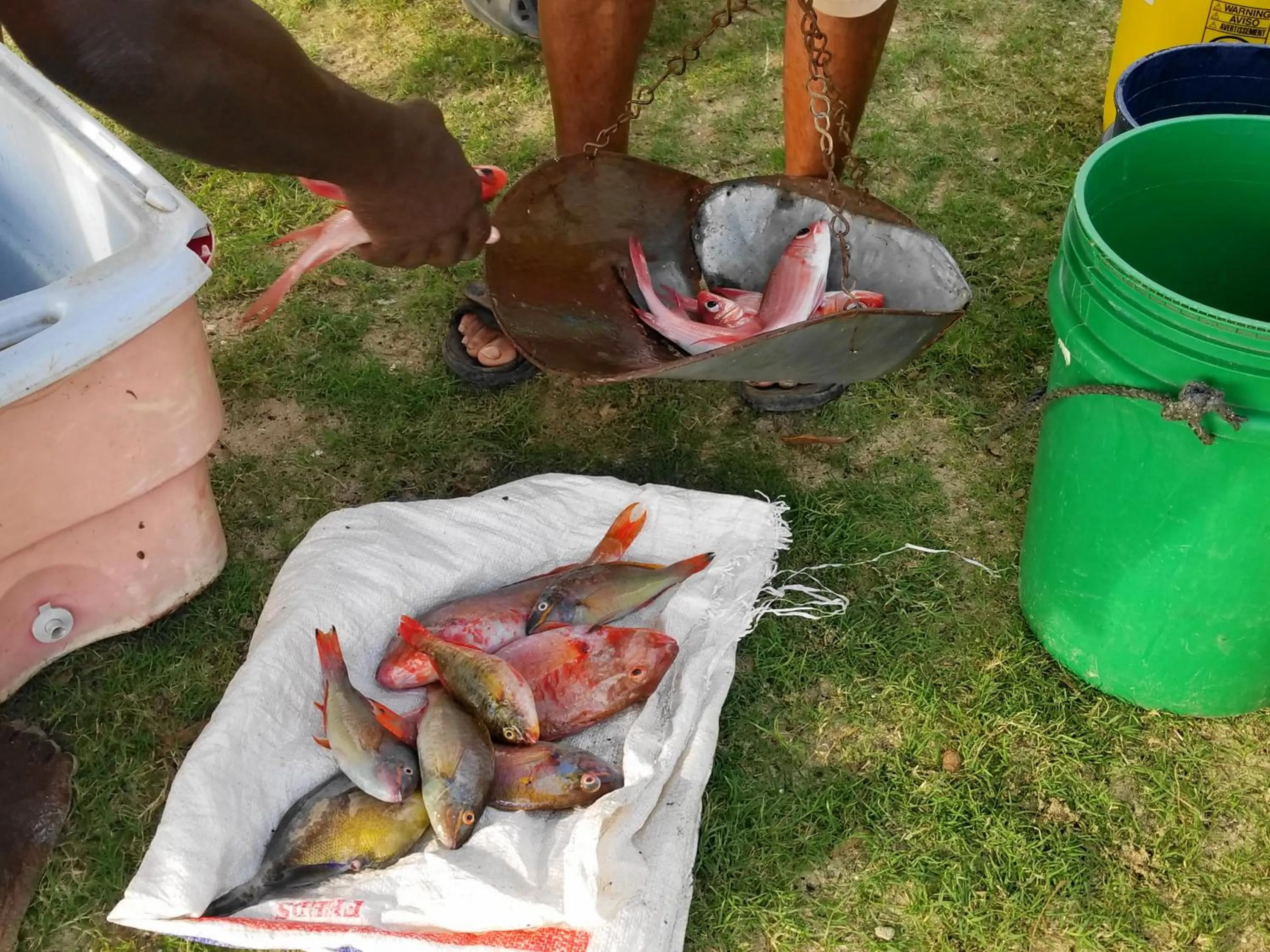 Off site in Zimbali Culinary Retreats