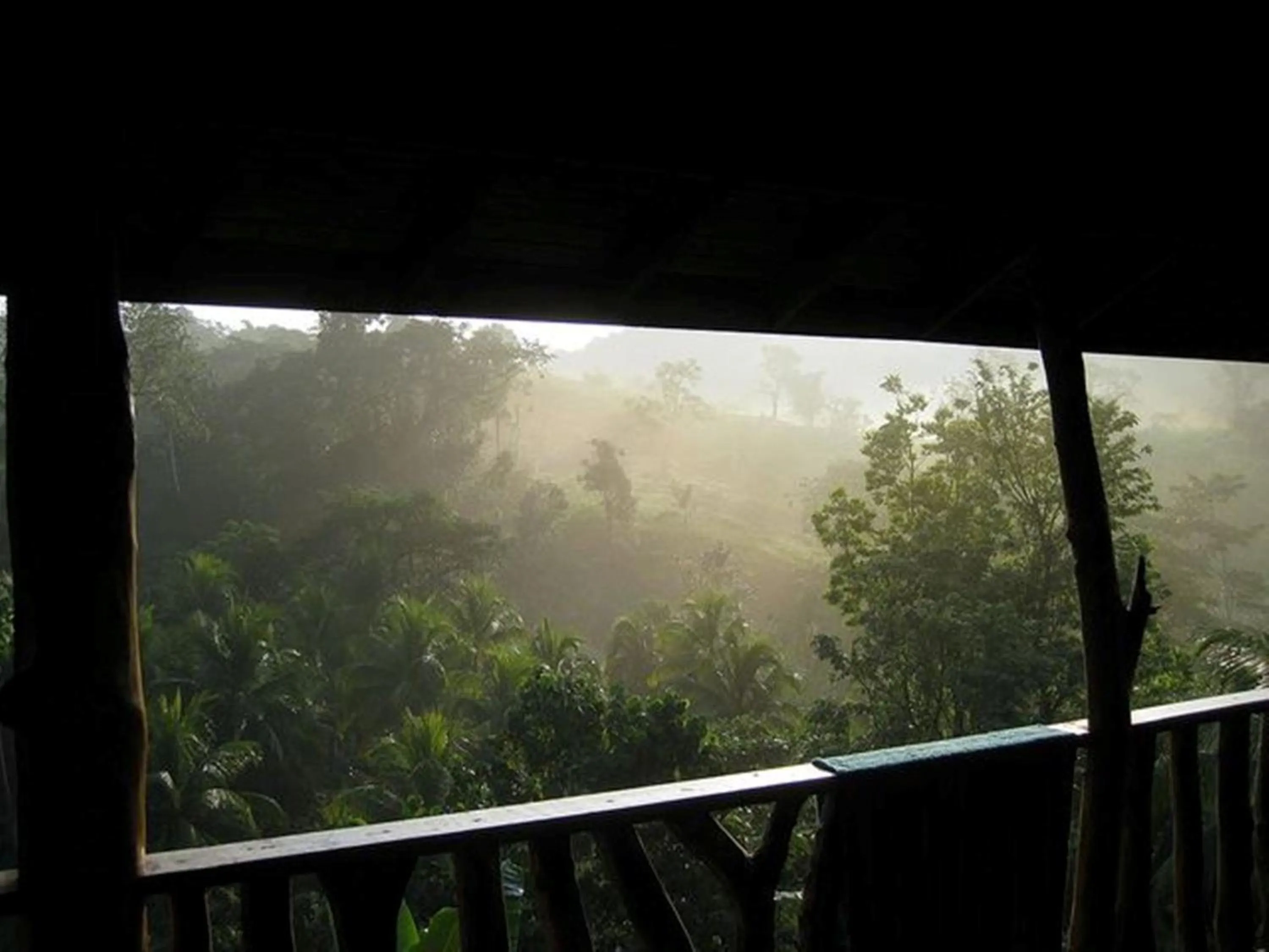 Garden in Zimbali Culinary Retreats