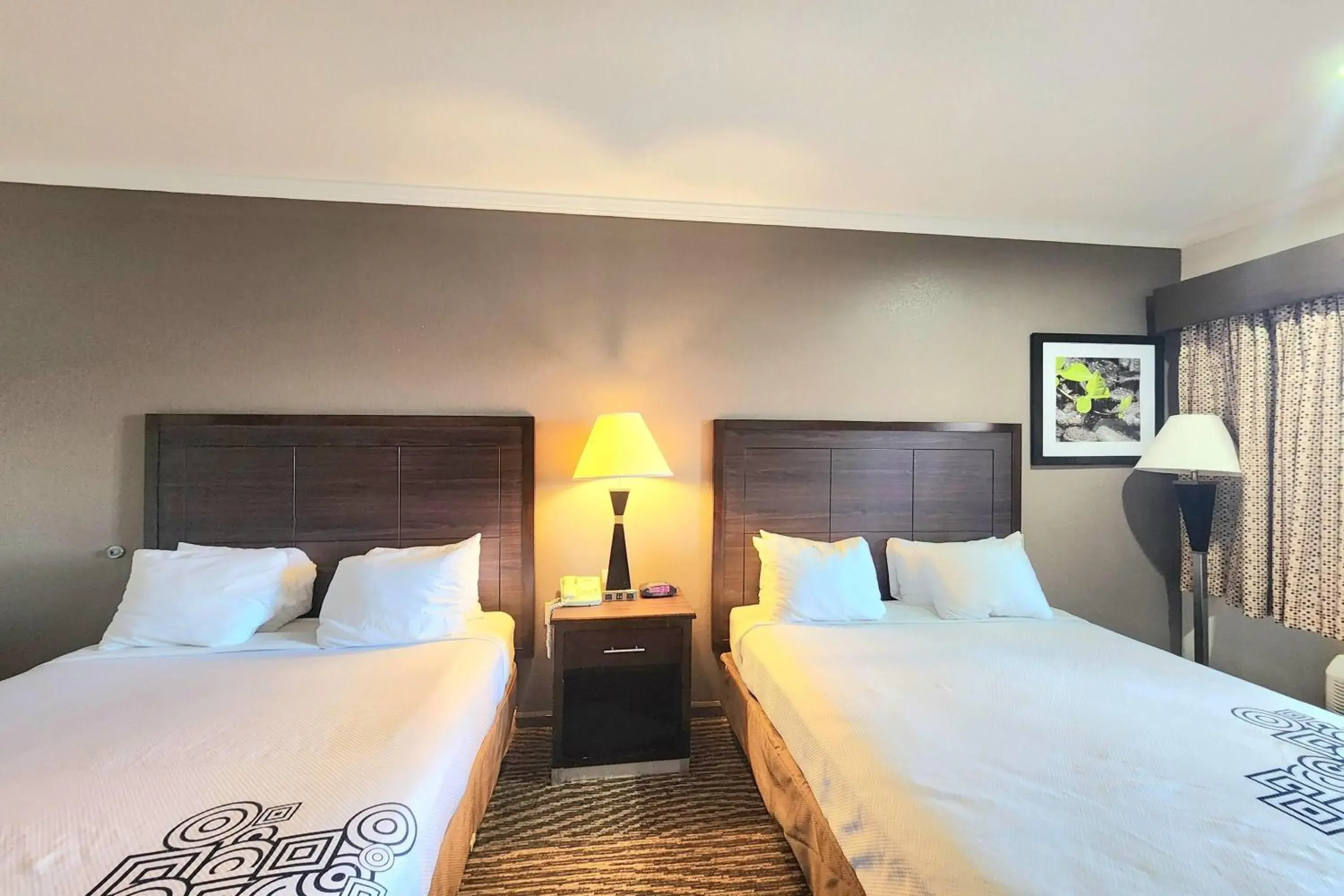 Photo of the whole room, Bed in Days Inn by Wyndham Navasota Photo of the whole room, Bed in Days Inn by Wyndham Navasota