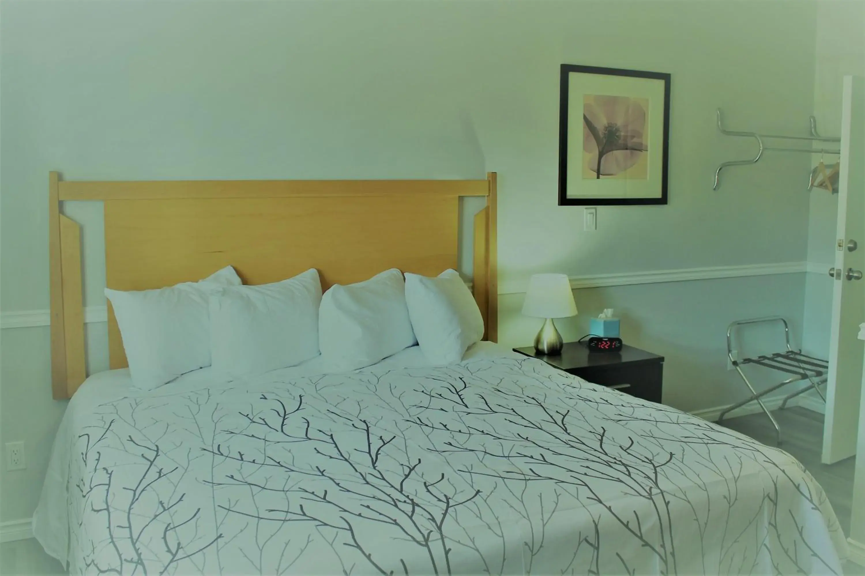 King Room Pet Friendly in Westridge Motor Inn King Room Pet Friendly in Westridge Motor Inn