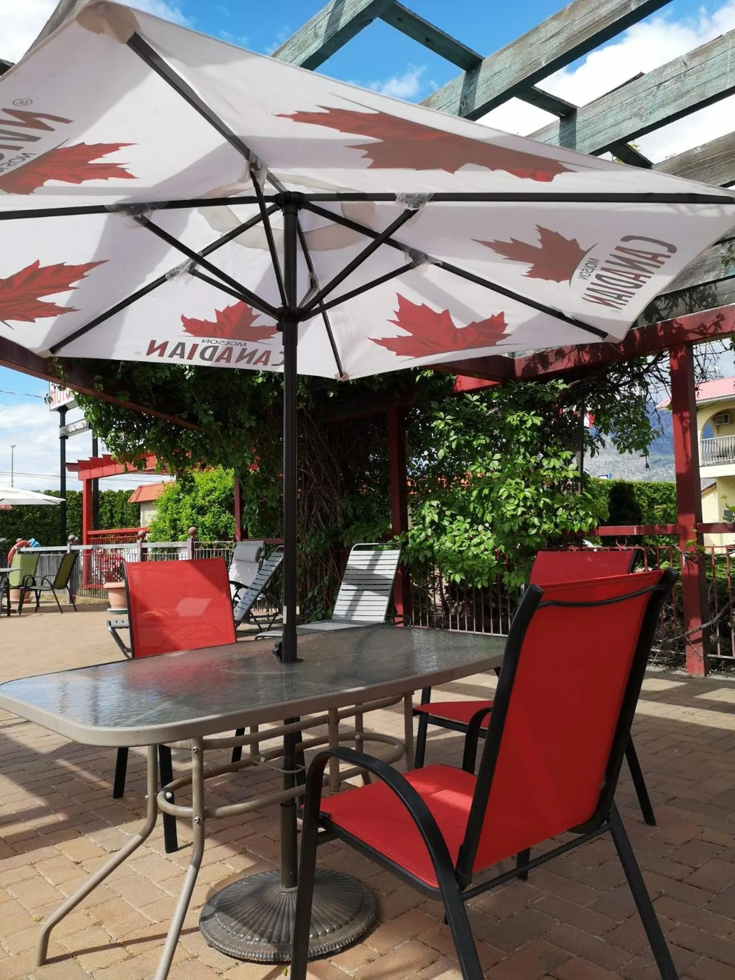 Swimming pool in Westridge Motor Inn