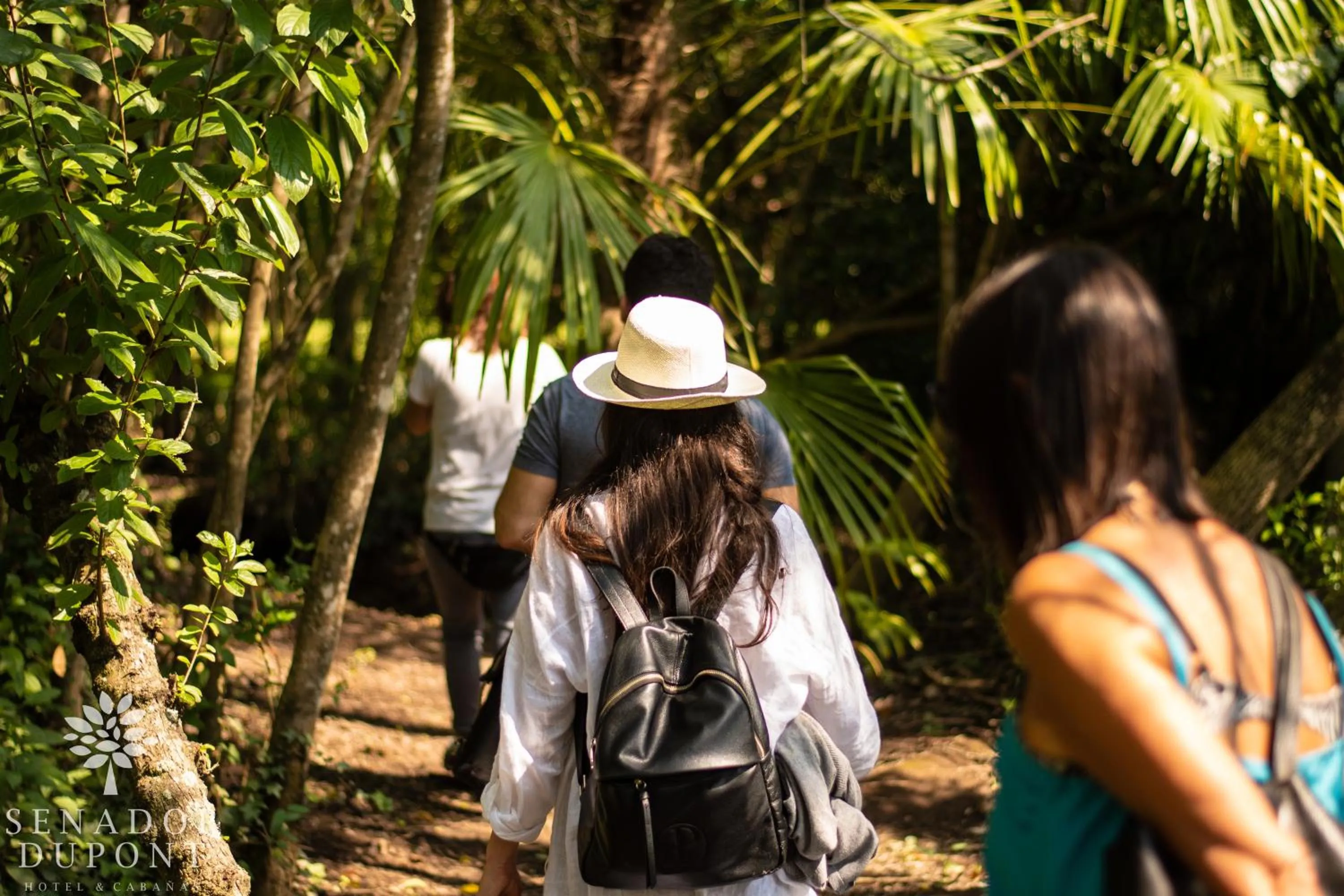 Senador Dupont- Convento San Francisco & Arboles