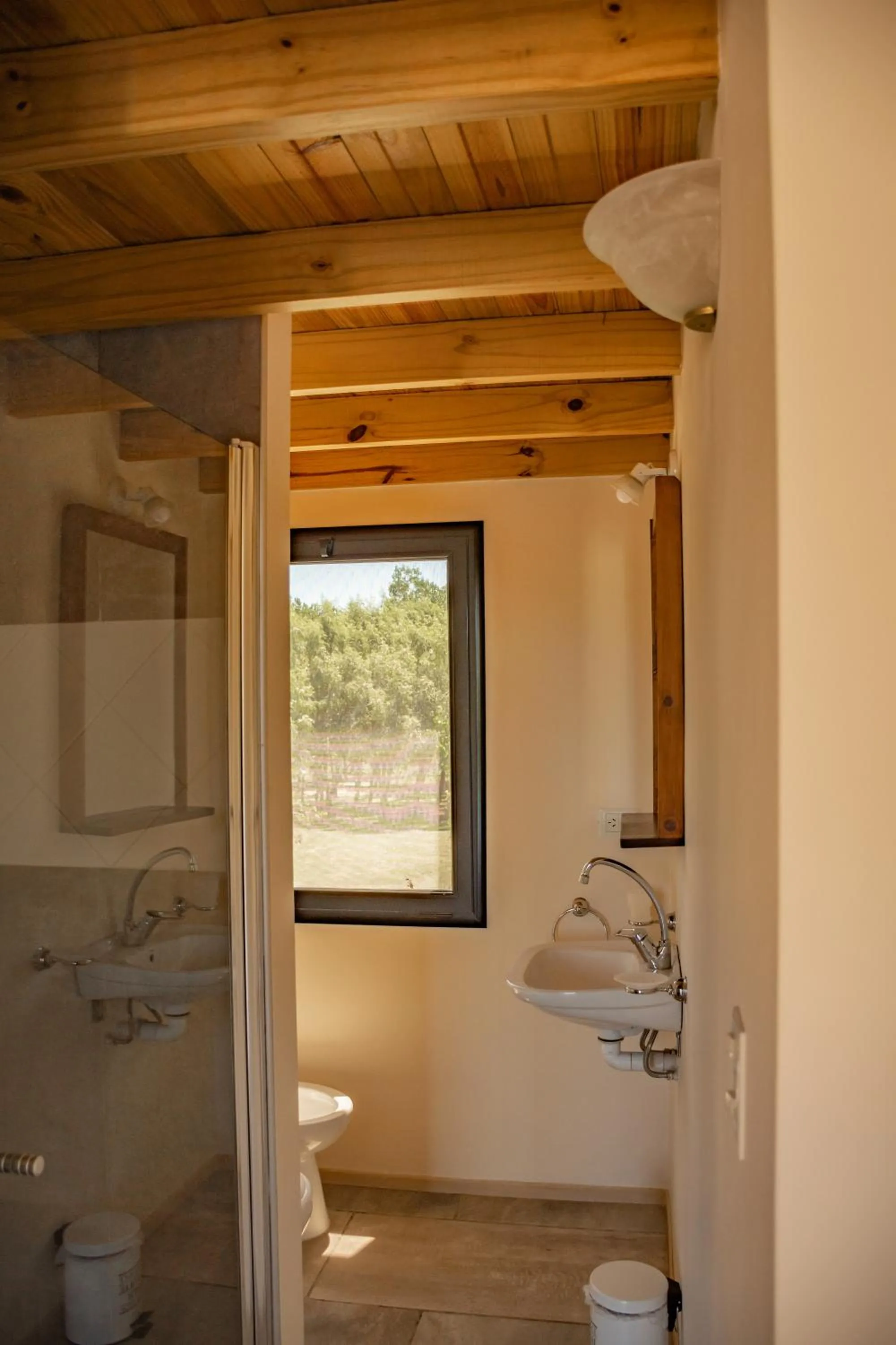 Senador Dupont- Convento San Francisco & Arboles