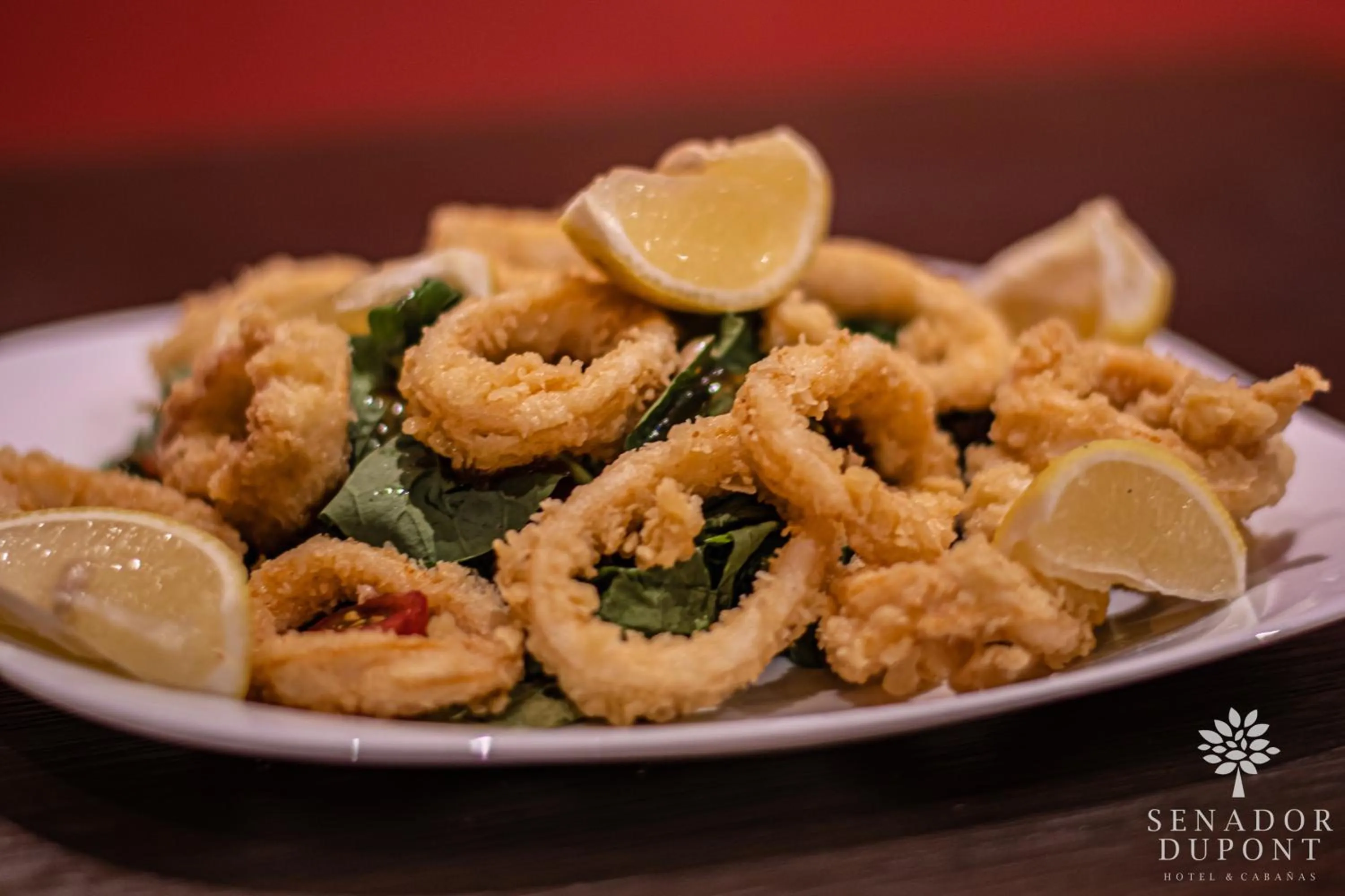 Restaurant/places to eat in Senador Dupont- Convento San Francisco & Arboles