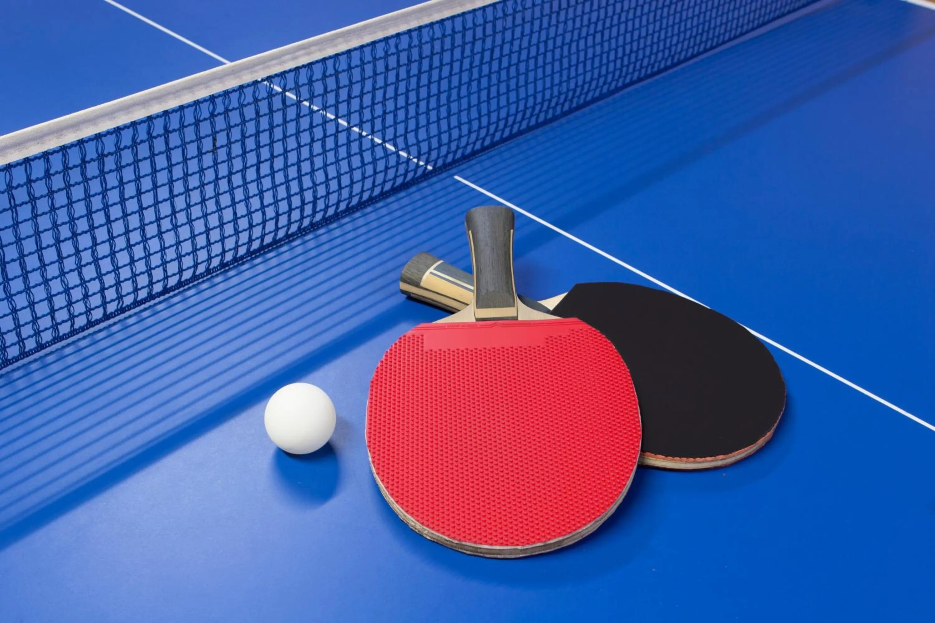 Table tennis in Satsuma Resort Hotel