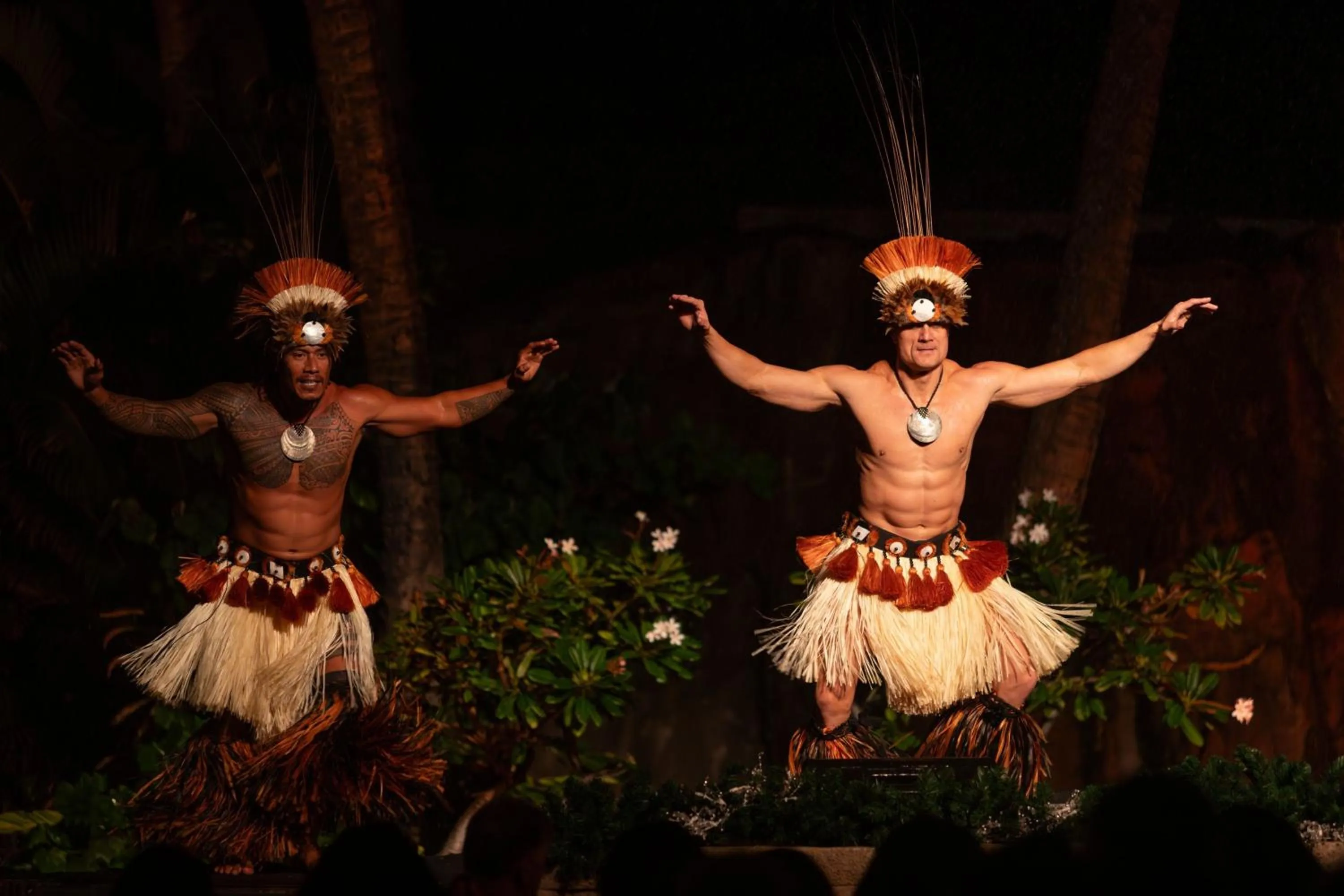 Other in The Westin Maui Resort & Spa, Ka'anapali