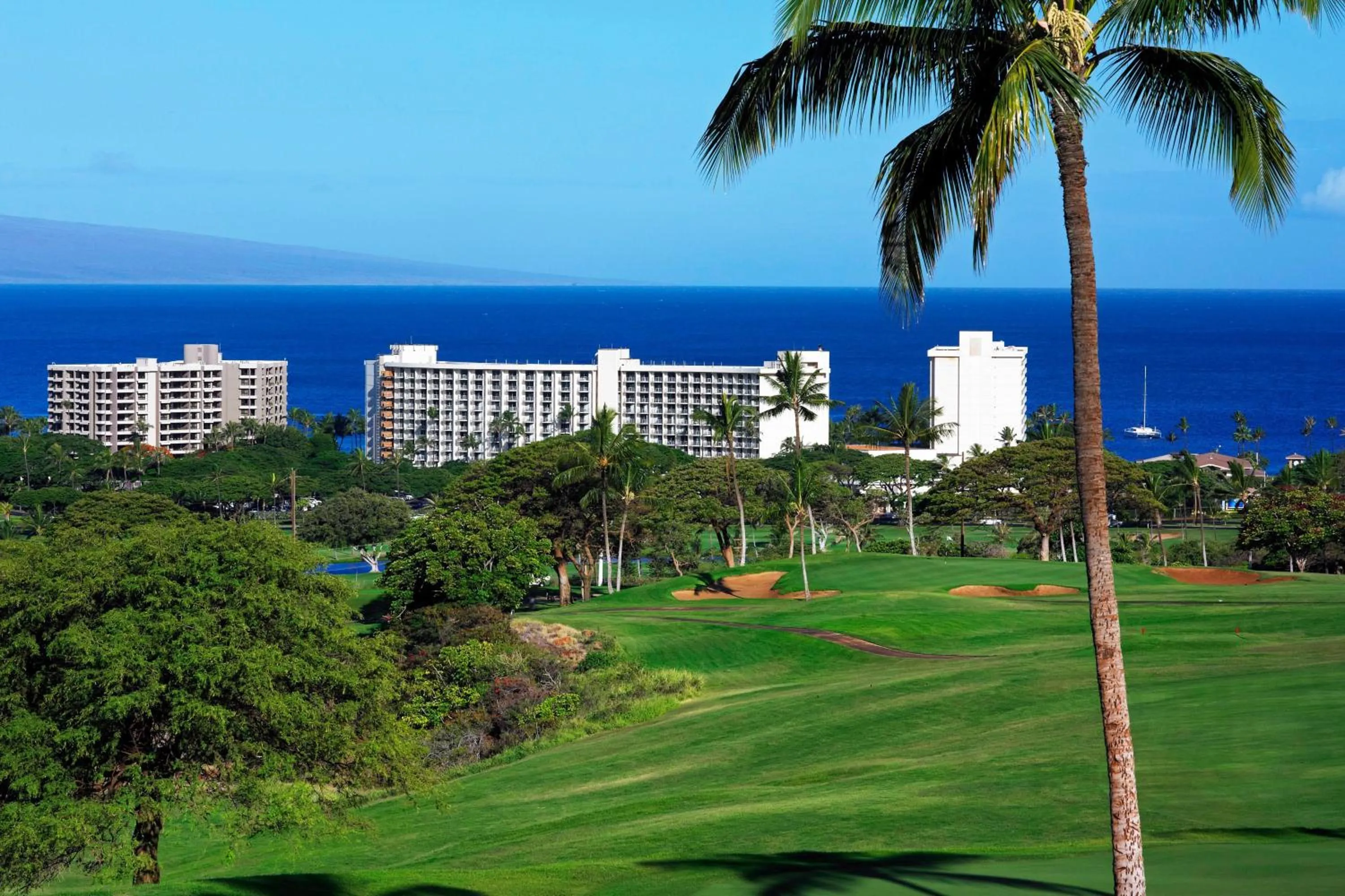 Other in The Westin Maui Resort & Spa, Ka'anapali