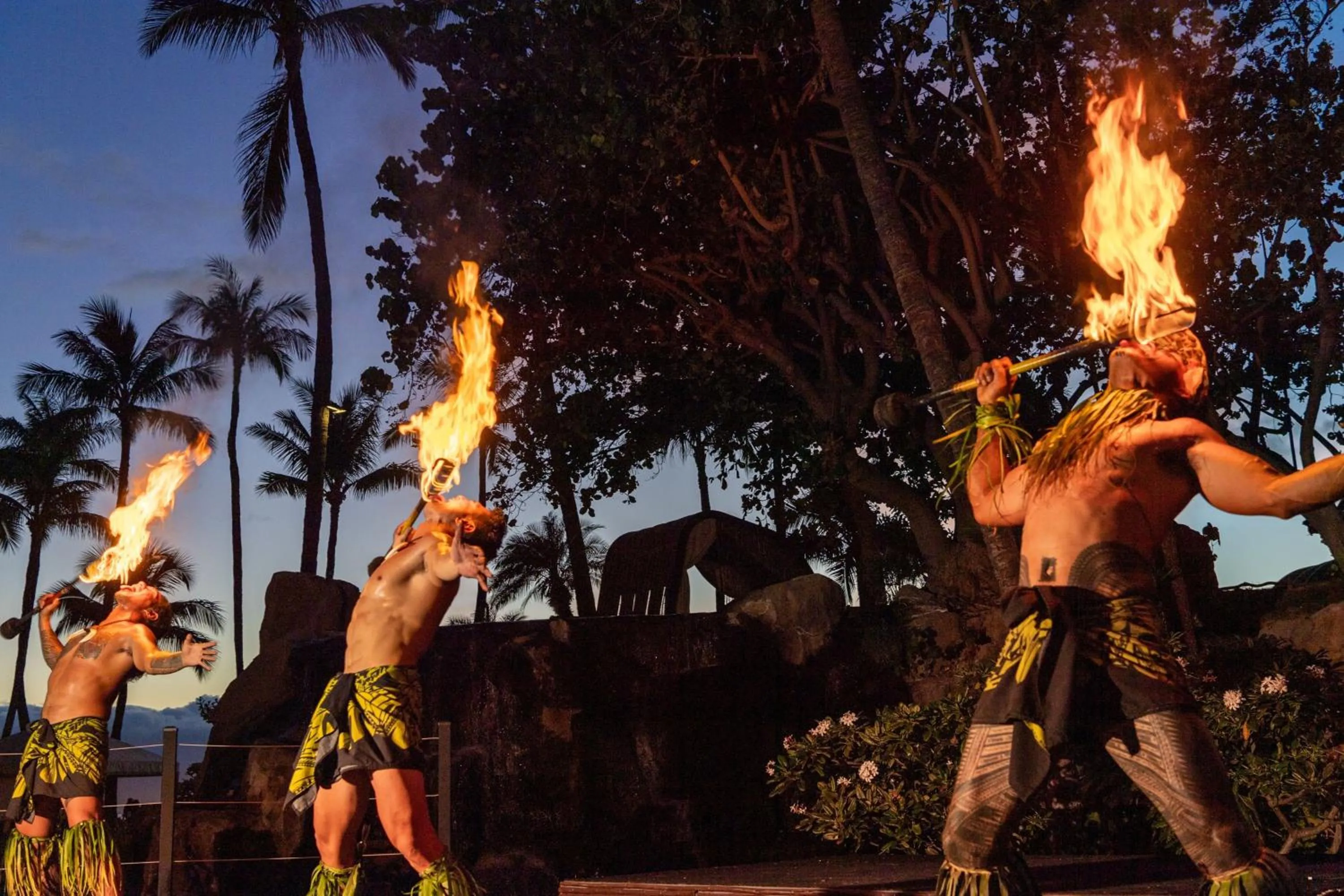 Other in The Westin Maui Resort & Spa, Ka'anapali