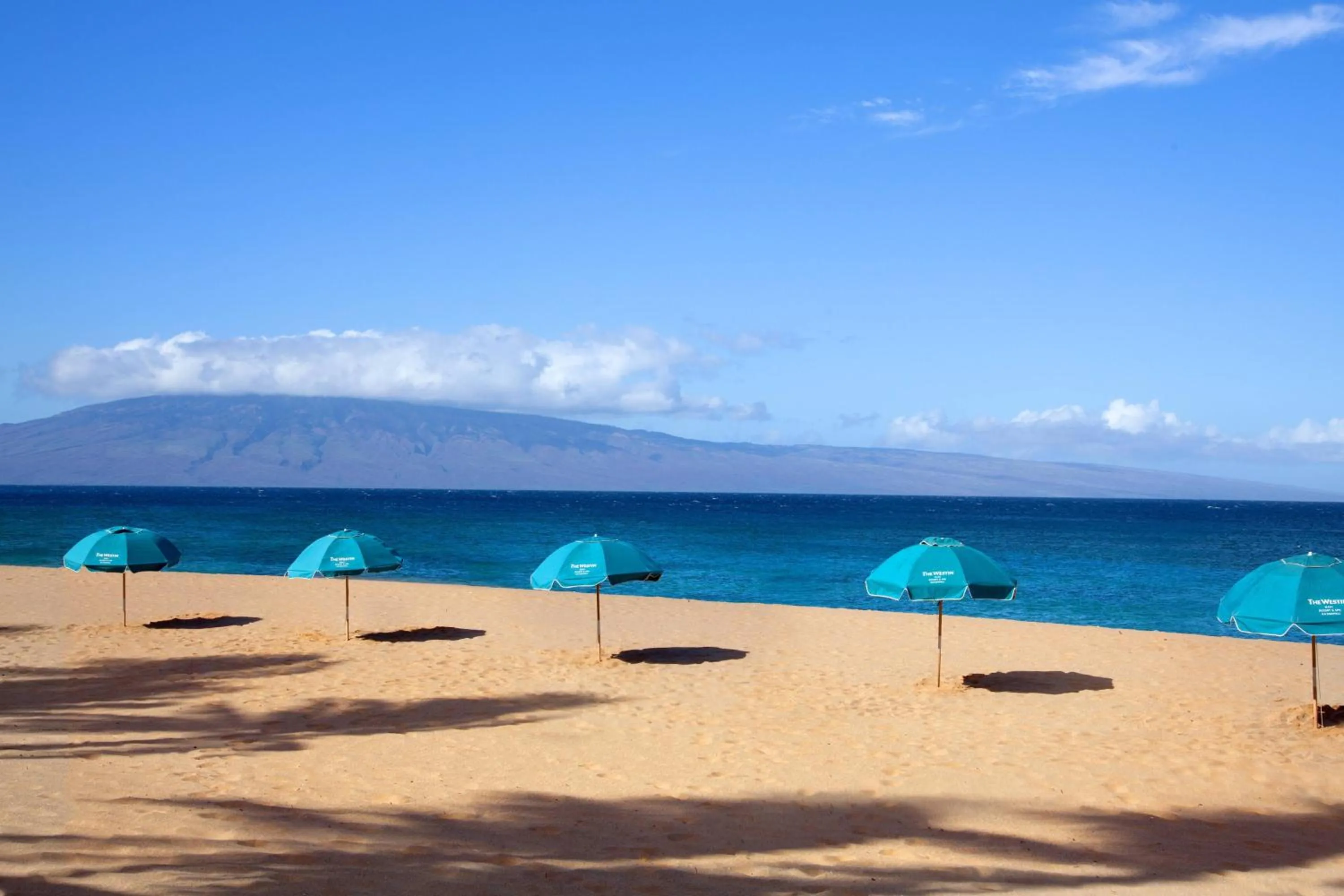 Beach in The Westin Maui Resort & Spa, Ka'anapali