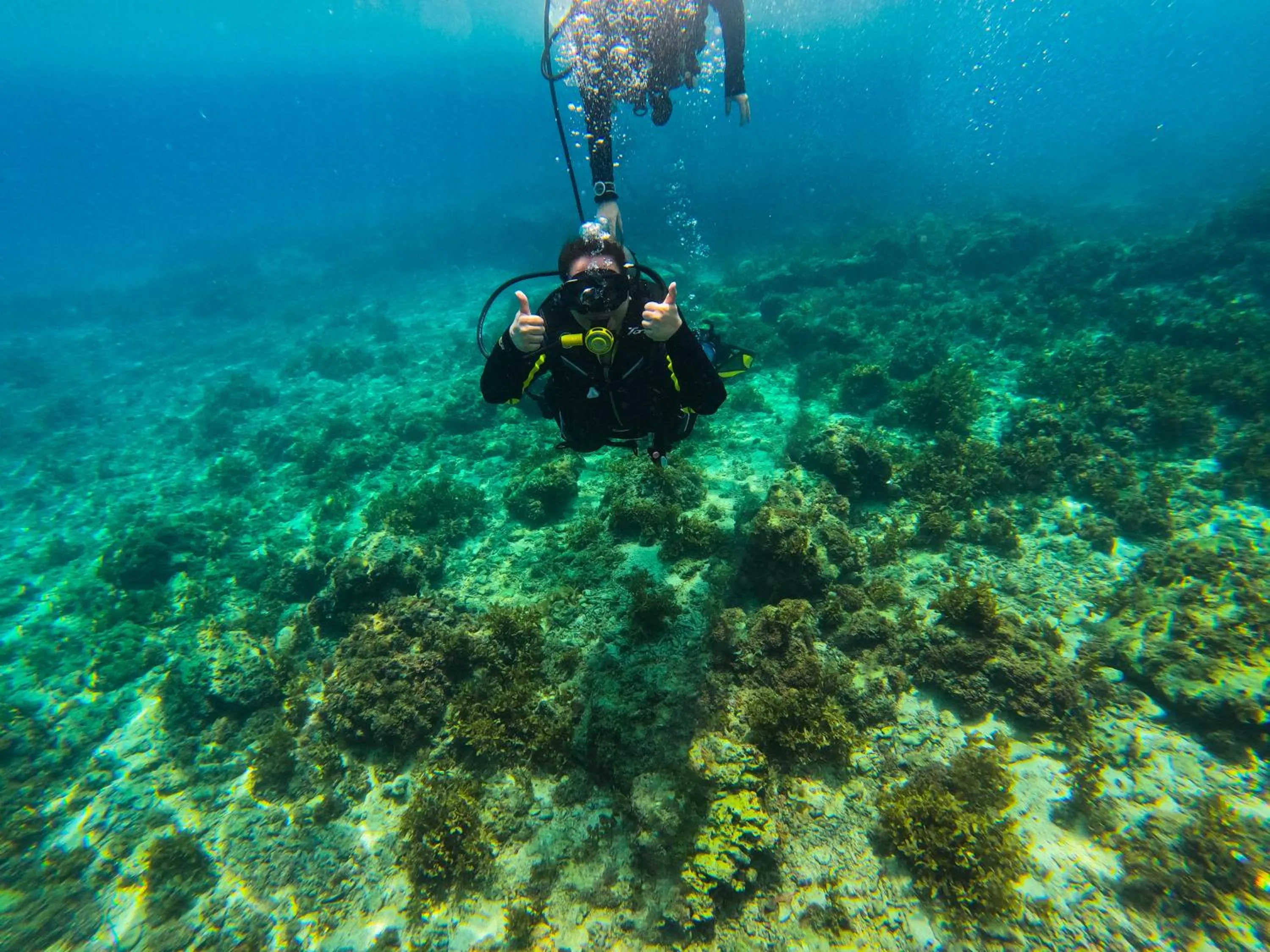 Diving in Savoy Hotel Mactan Cebu near Newtown Beach