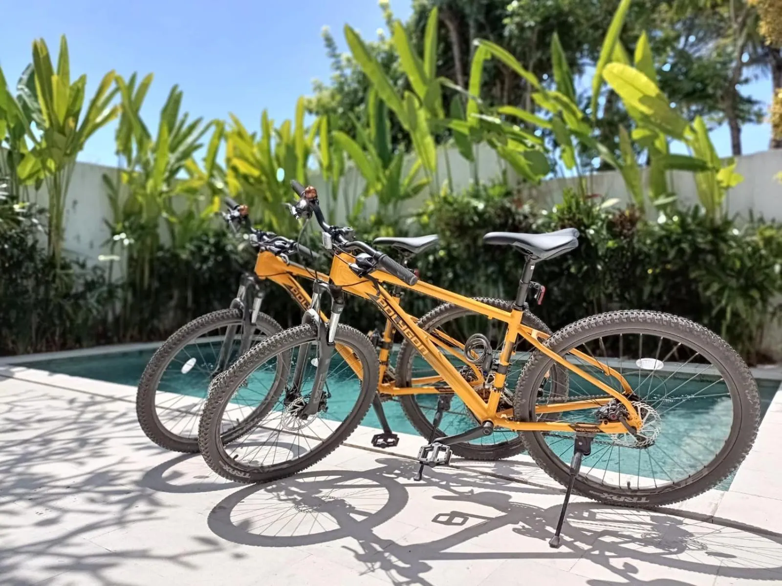 Garden in Villa Rindik Sanur