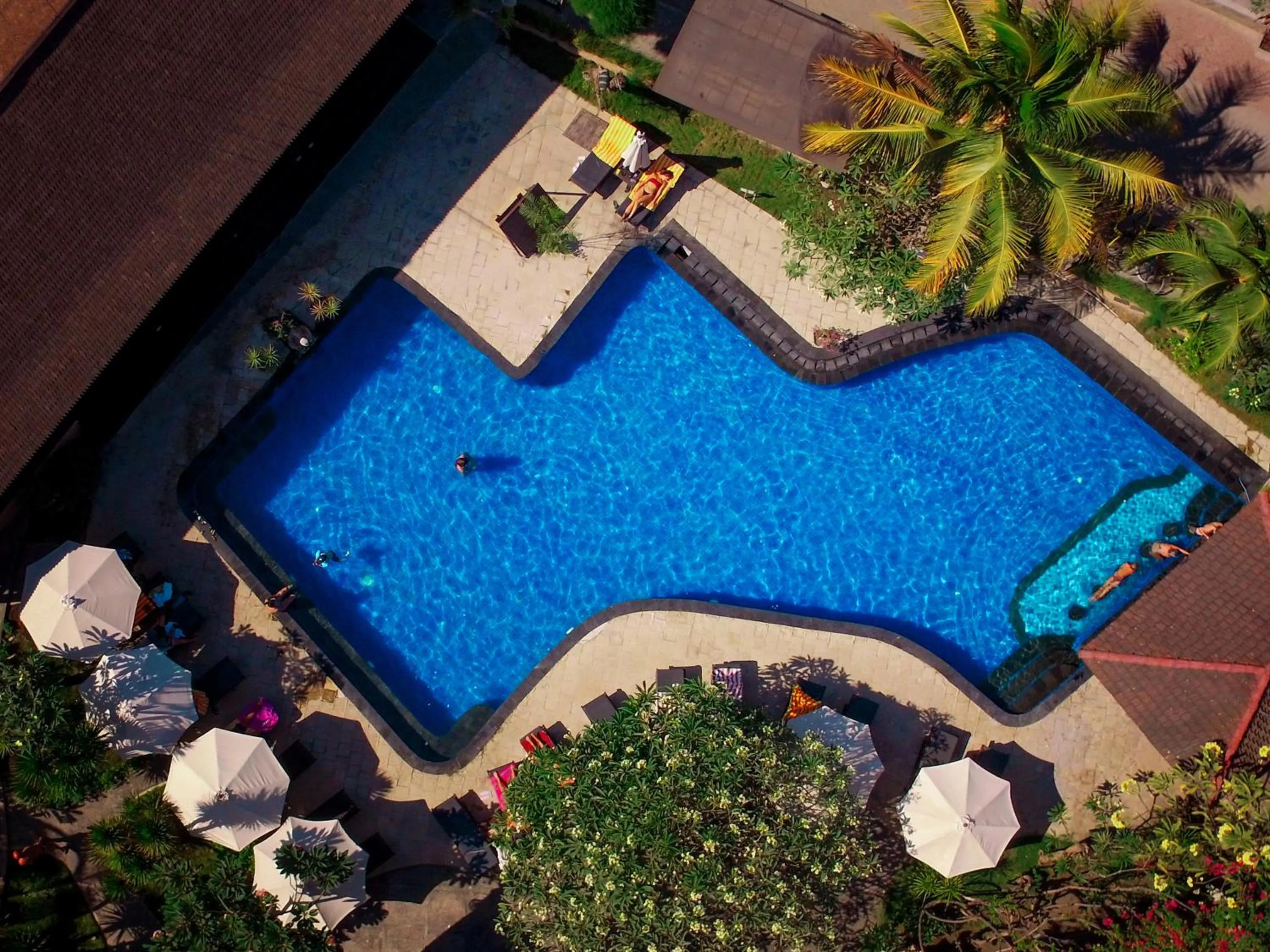 Bird's eye view in Villa Unggul