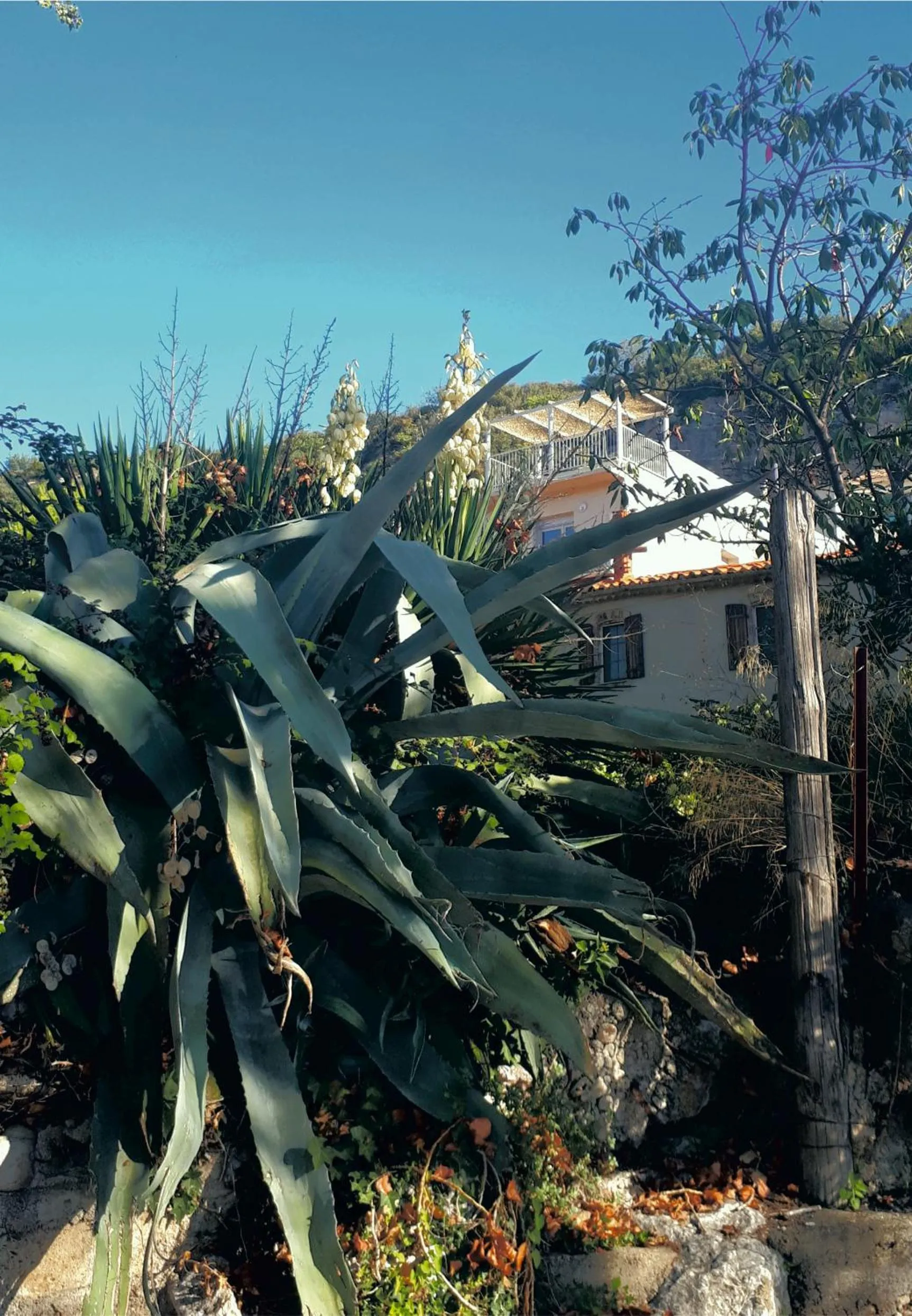 Garden view in Chambre La Caunette