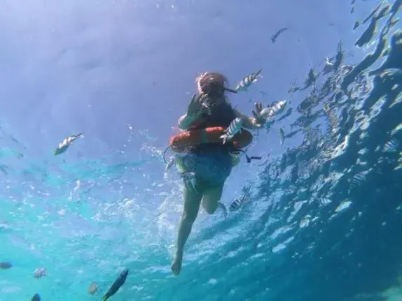 Snorkeling/Diving in Green World Hotel