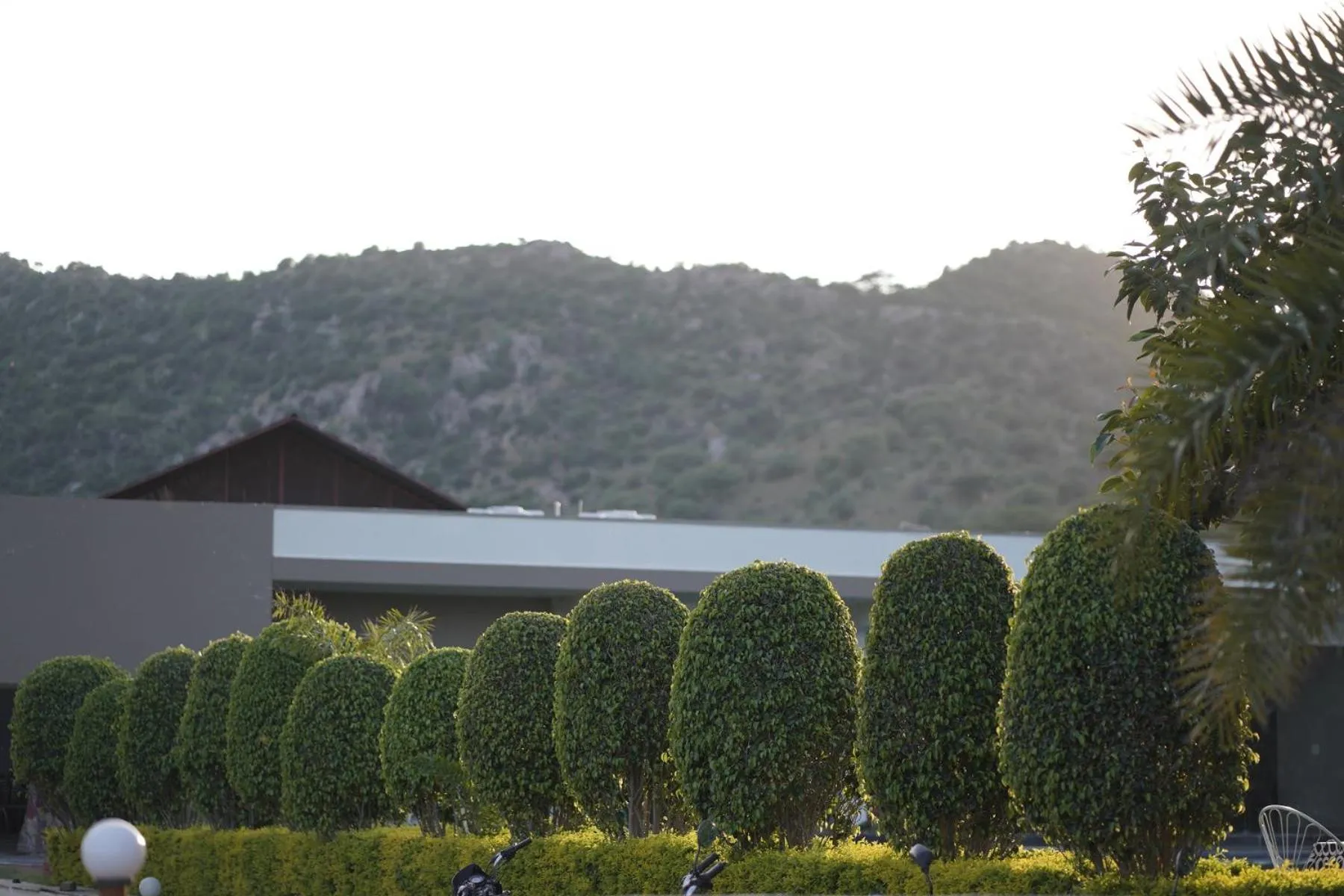 Garden in Amar Bagh Resort