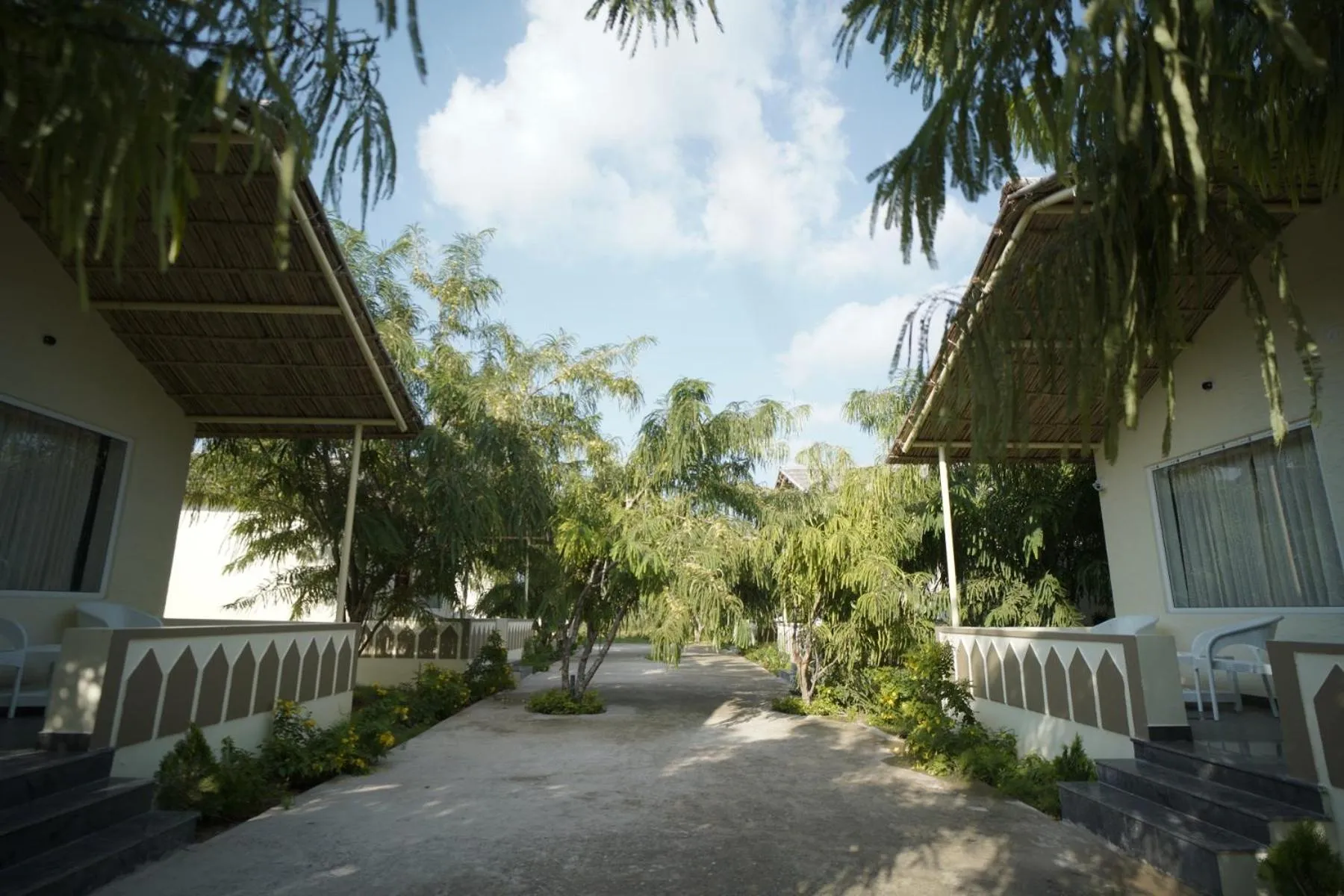 Garden view in Amar Bagh Resort