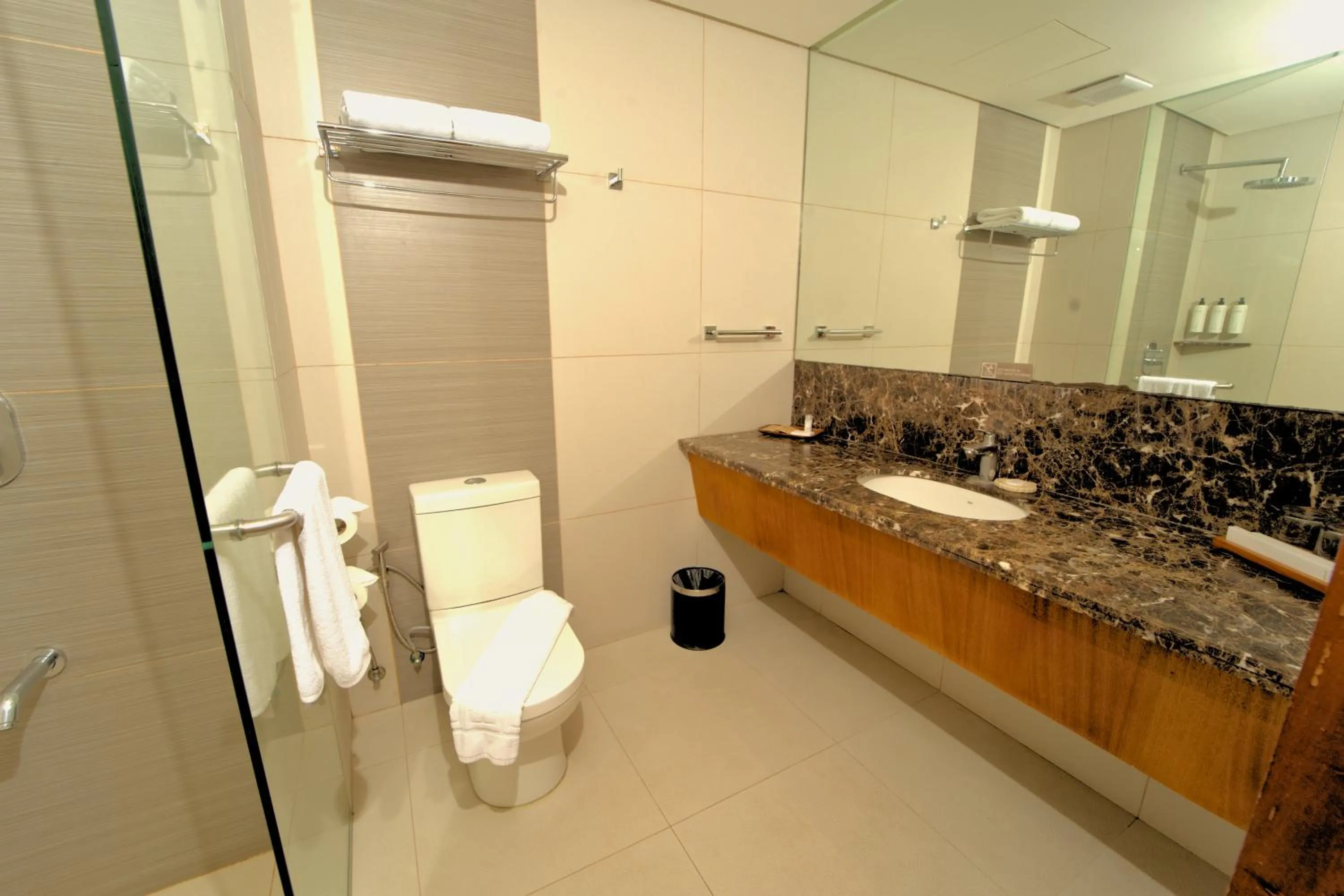 Bathroom in Best Western Plus The Ivywall Resort-Panglao
