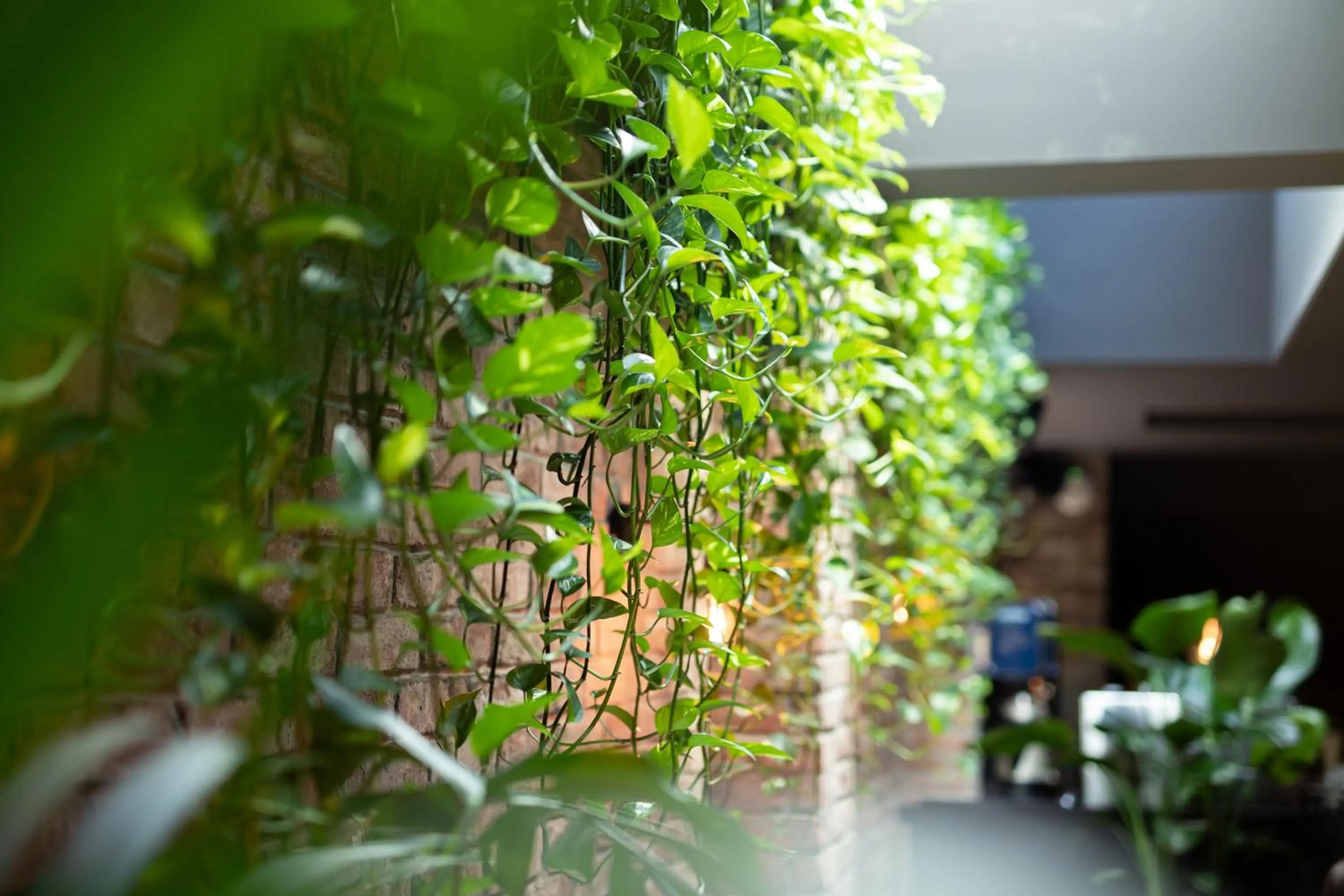 Other in 133 Boutique Hotel