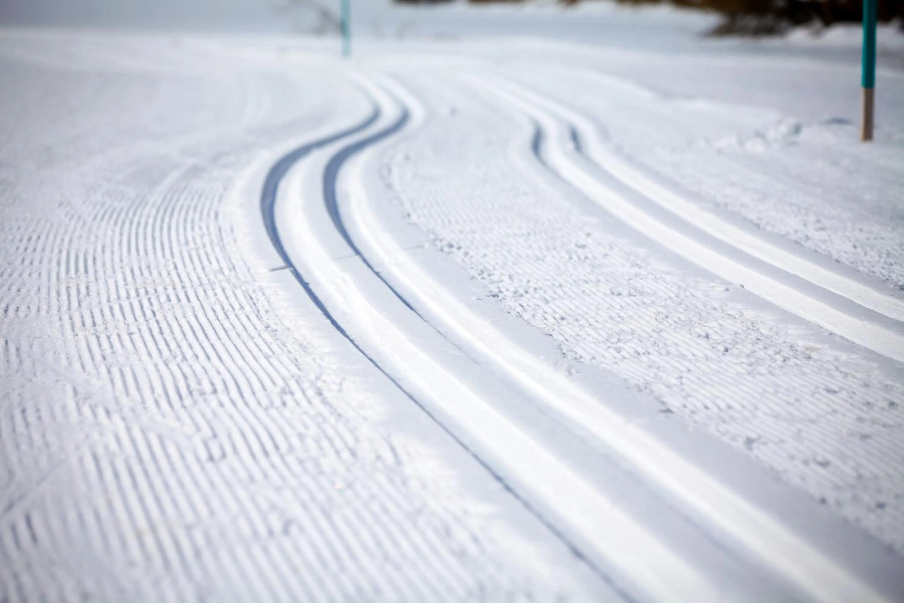 Winter in Hôtel Club Le Risoux